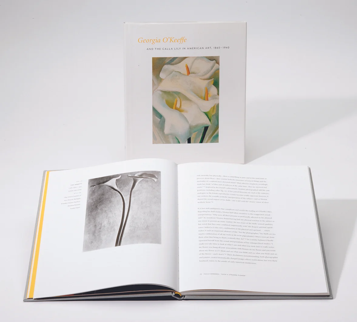 CALLA 6.jpg