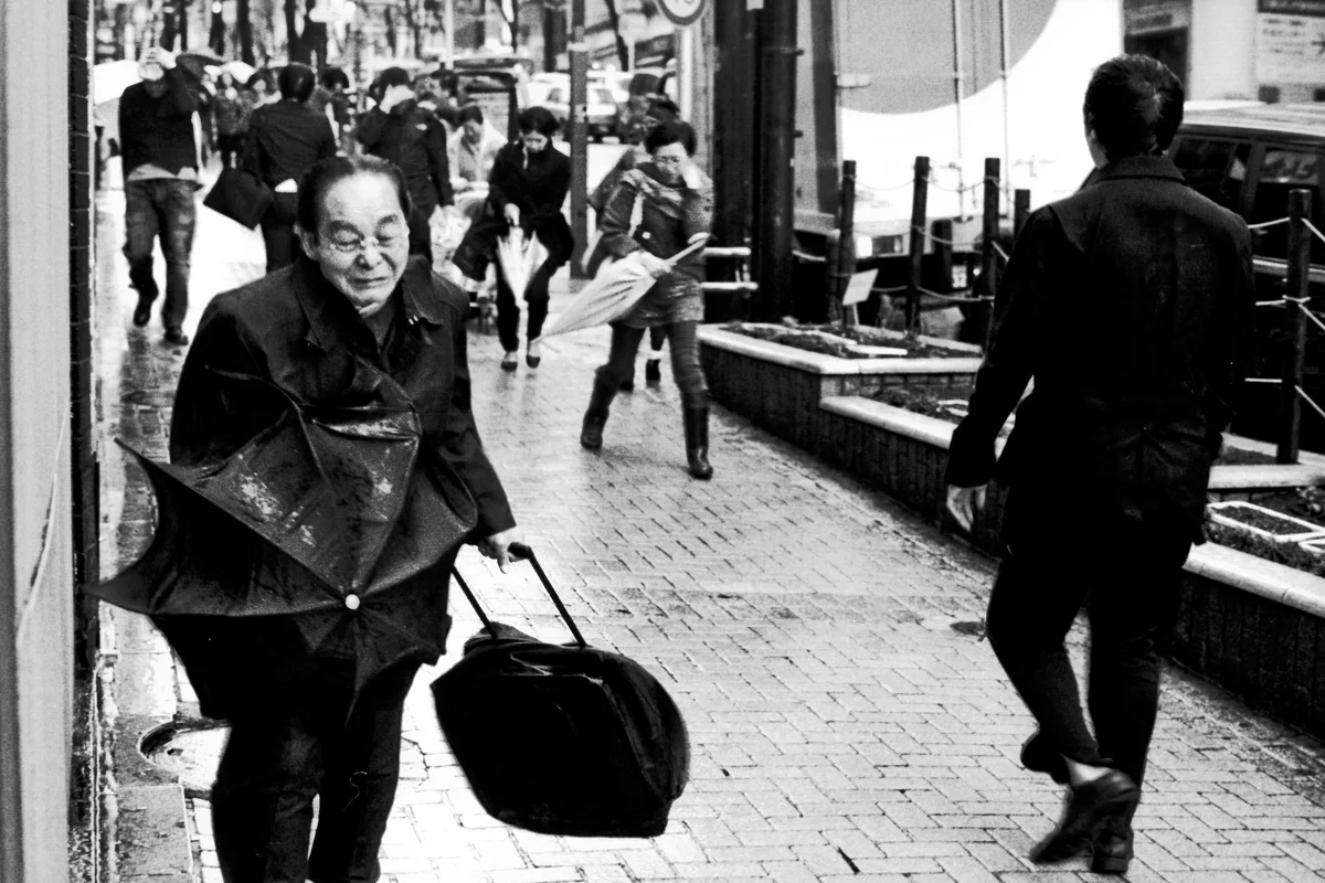"Typhoon Striking Tokyo", 2012.
