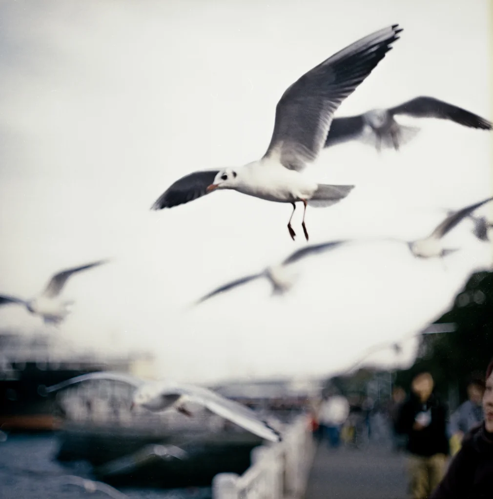 "Fleeting moments"