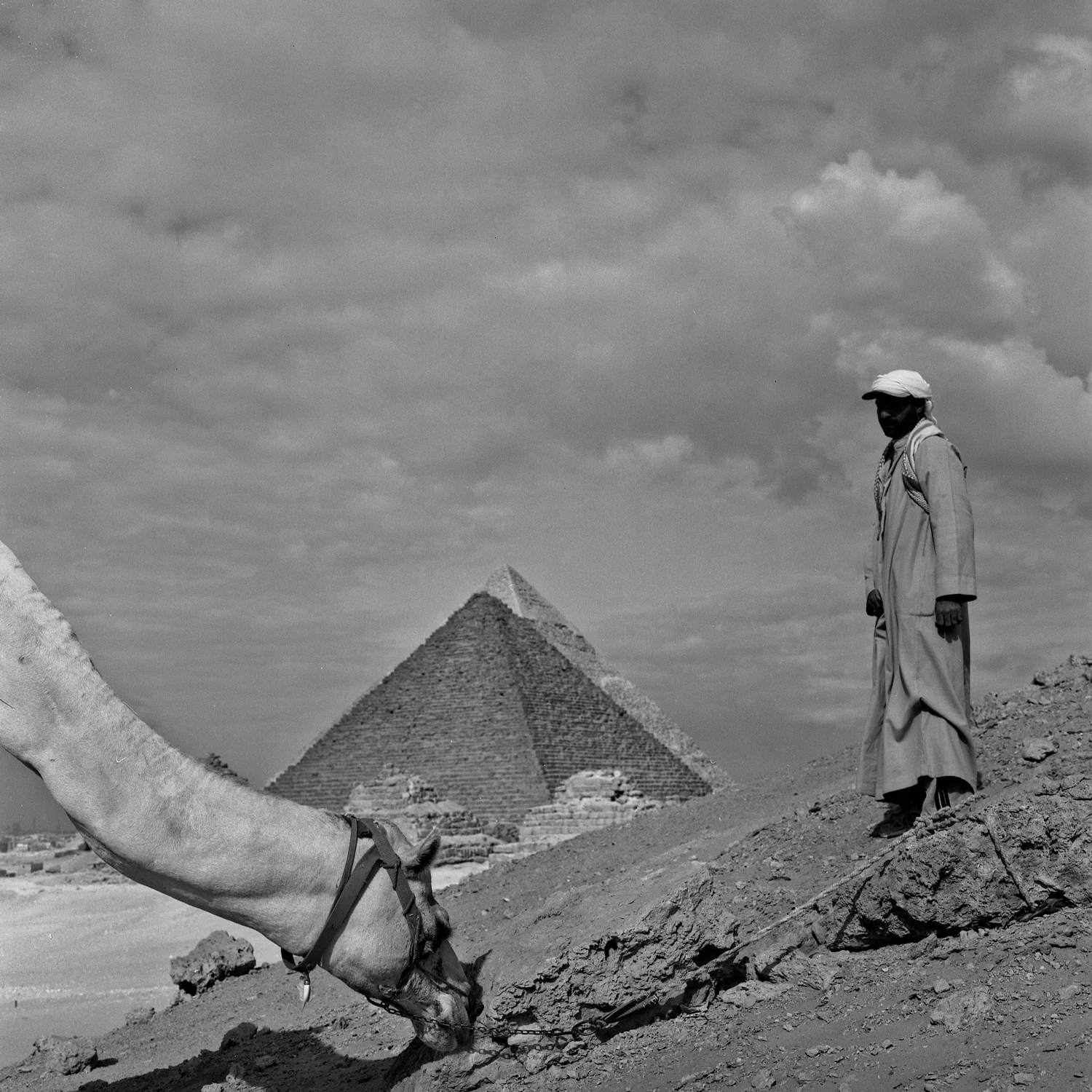 Camel rider, Giza, Egypt, Winter Solstice 2012.