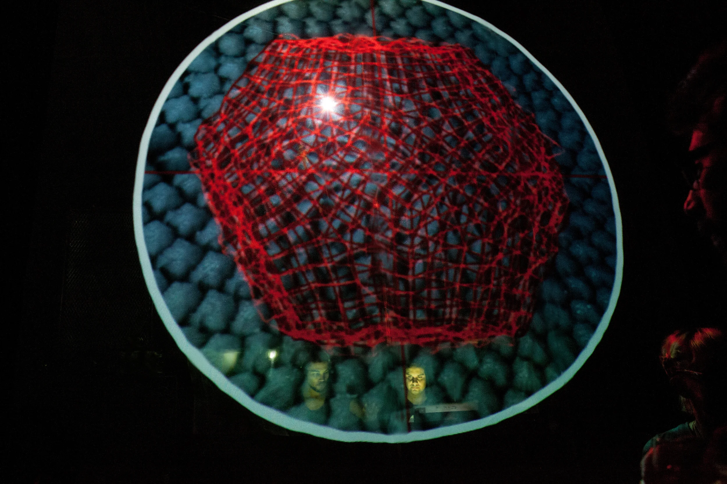 JUSVUN-20141123-00190.jpg