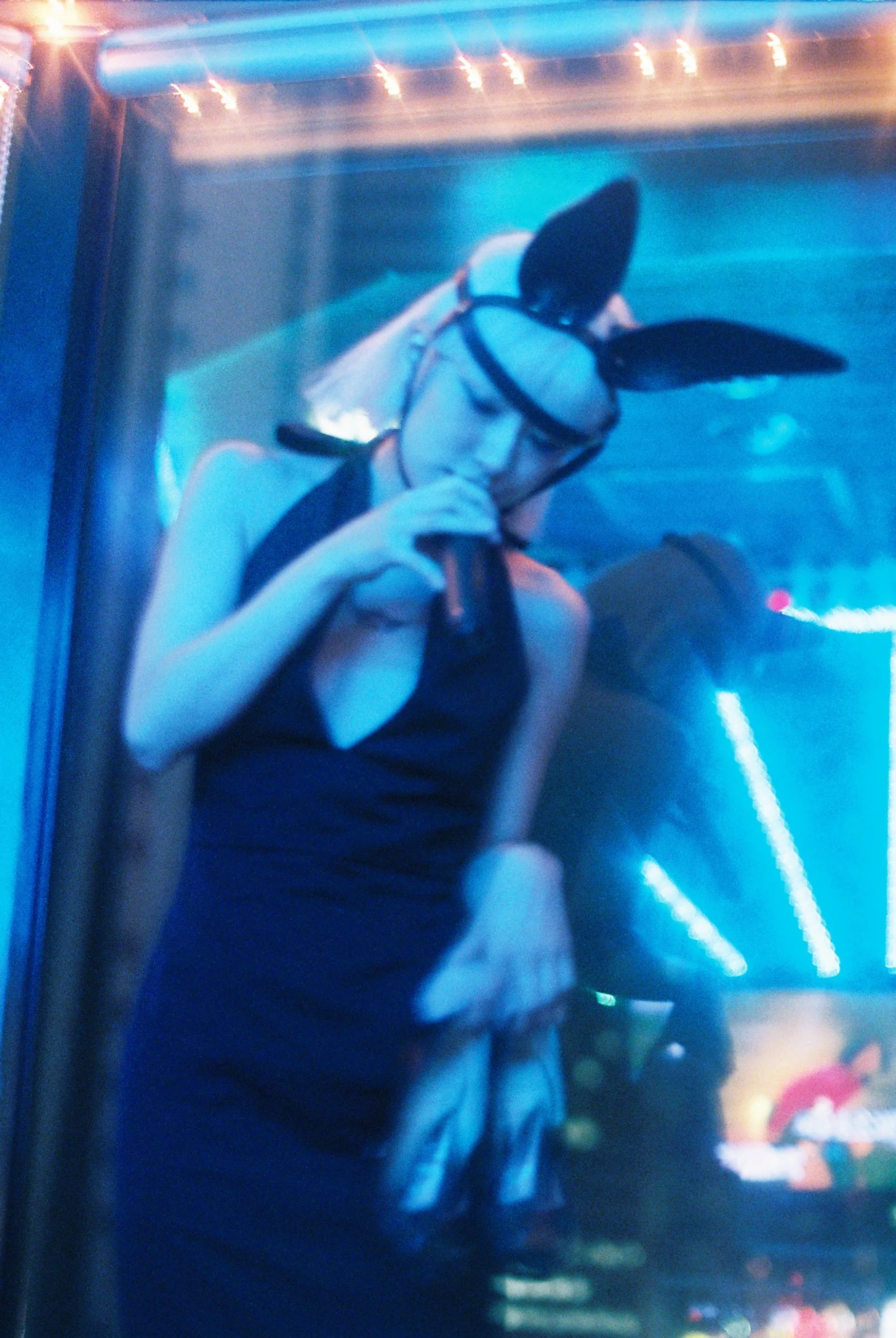 FH020028.JPG