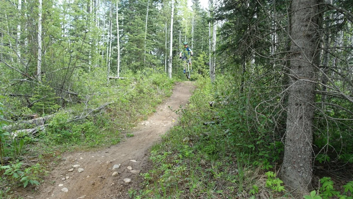 DSC04508.JPG