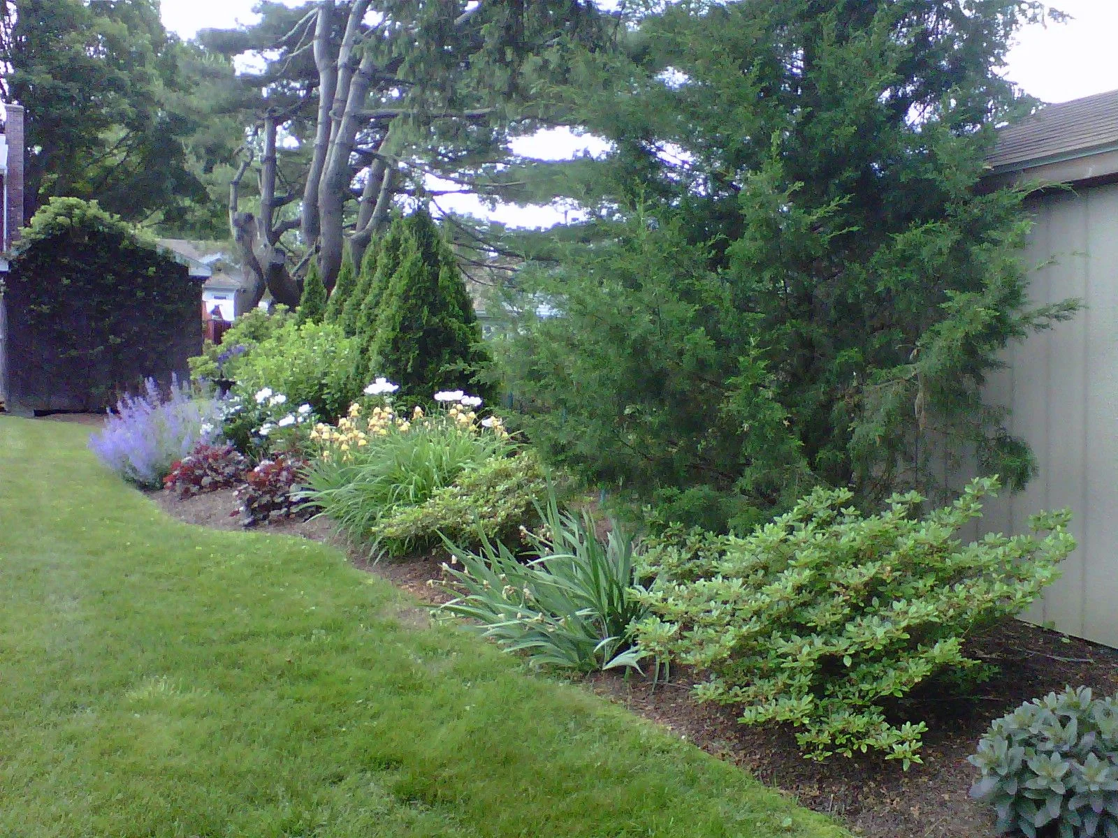 Perennial Garden