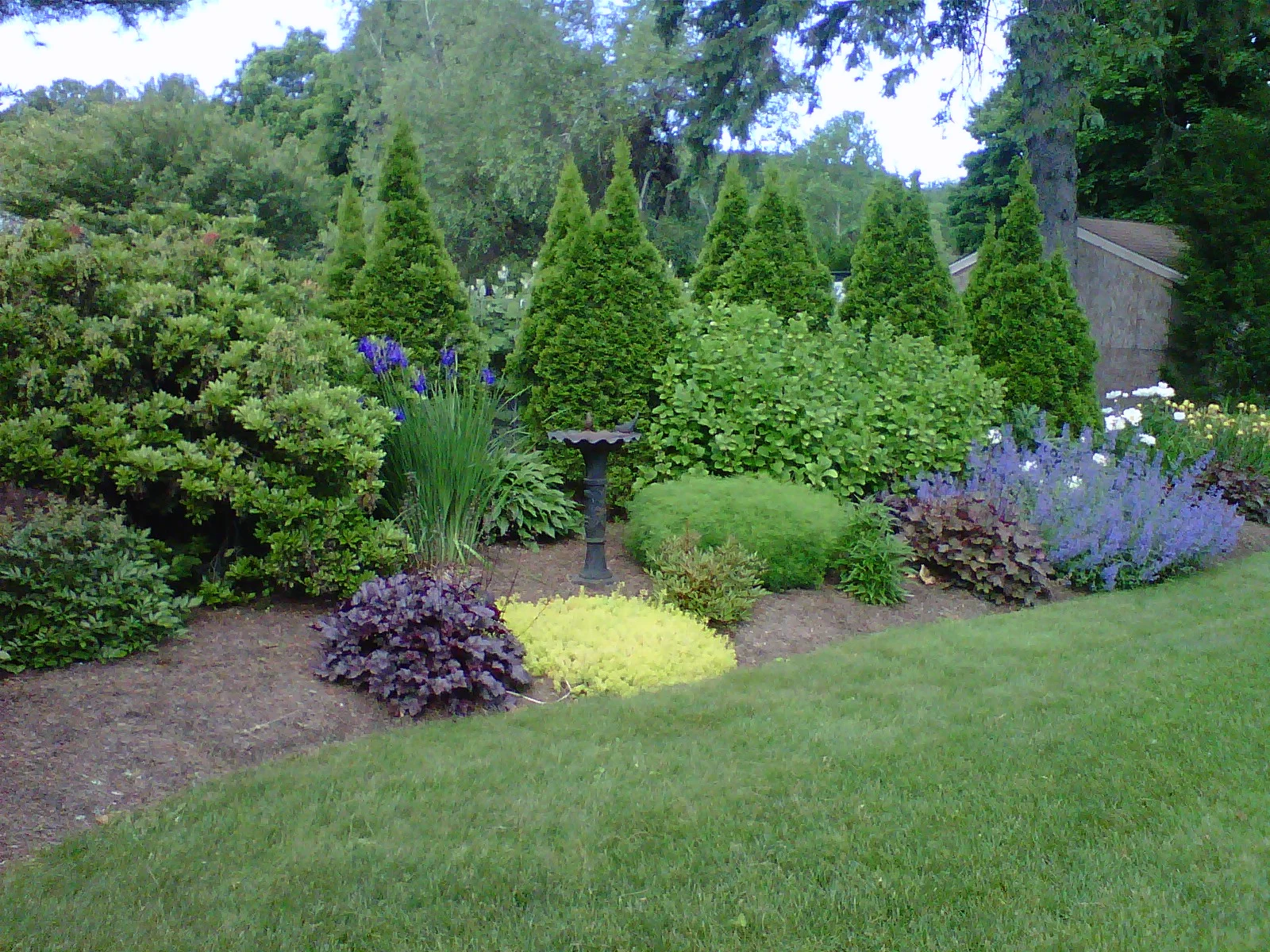 Perennial Gardens