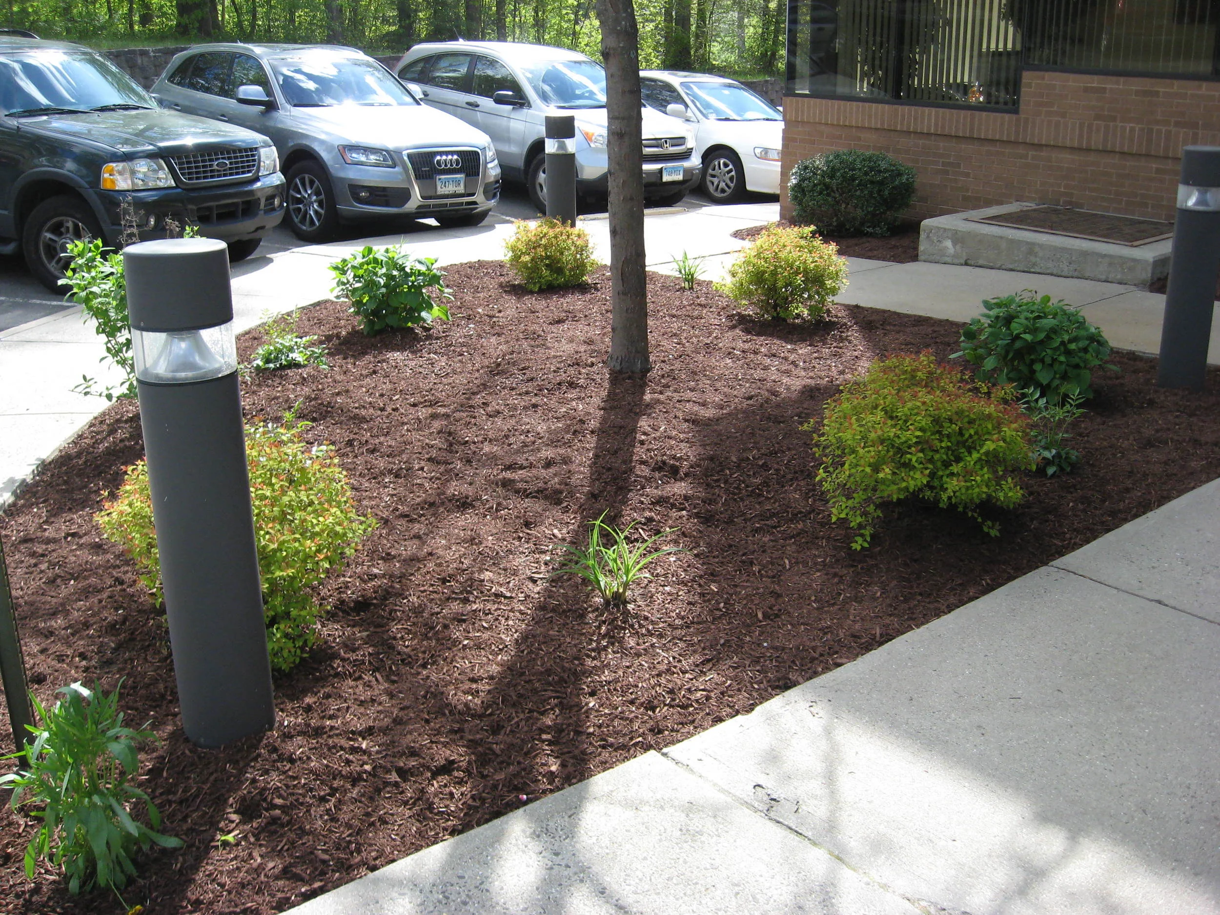 Commercial Property Gardening