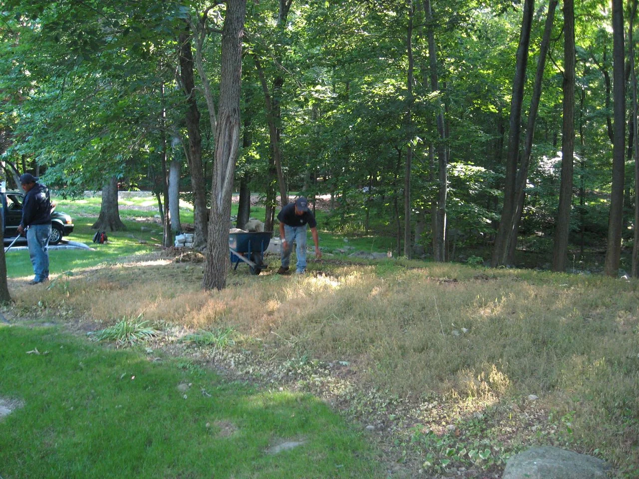 Shade Garden