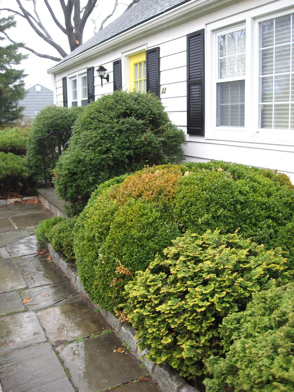 Foundation Remediation