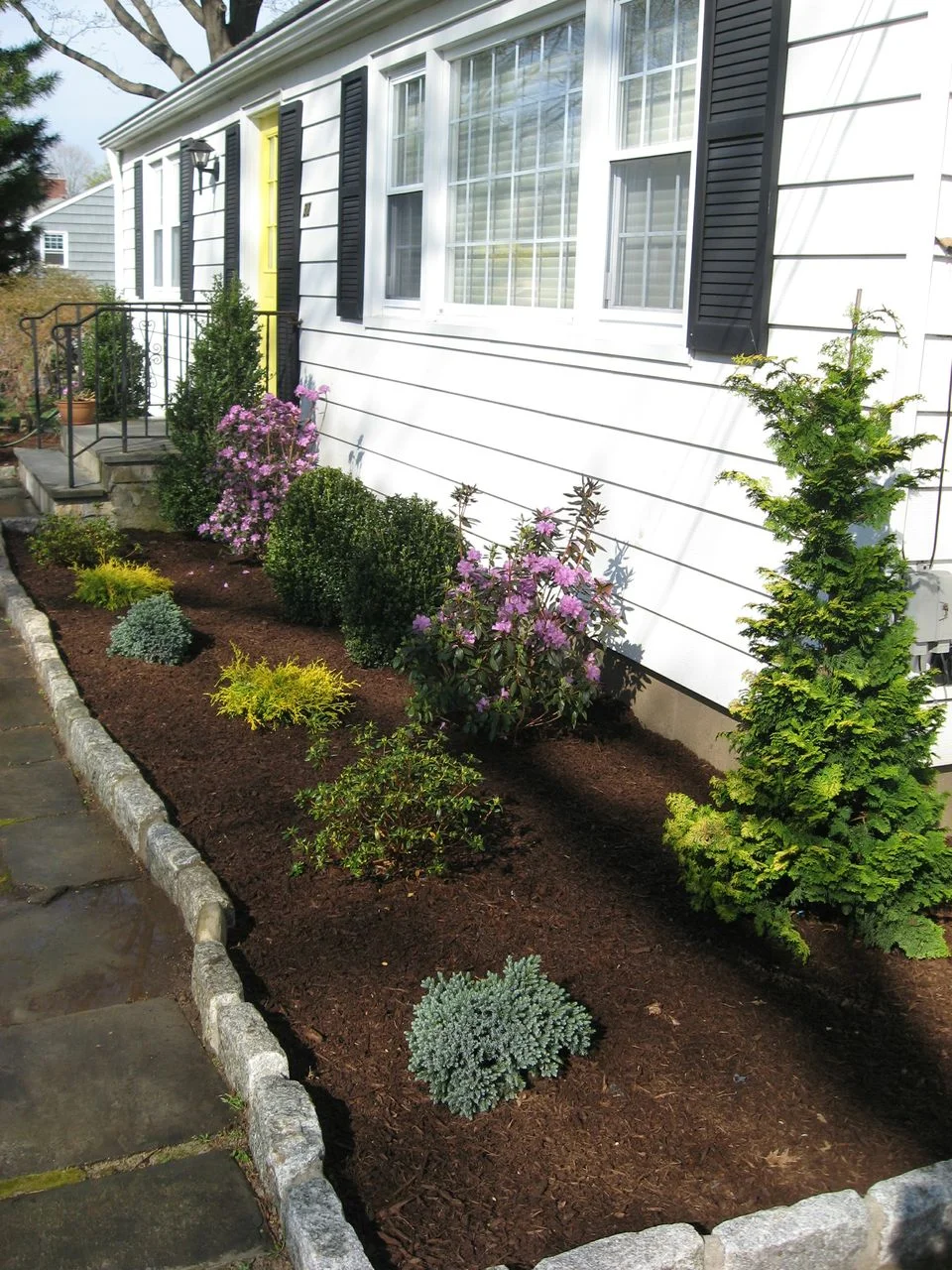 Foundation Planting