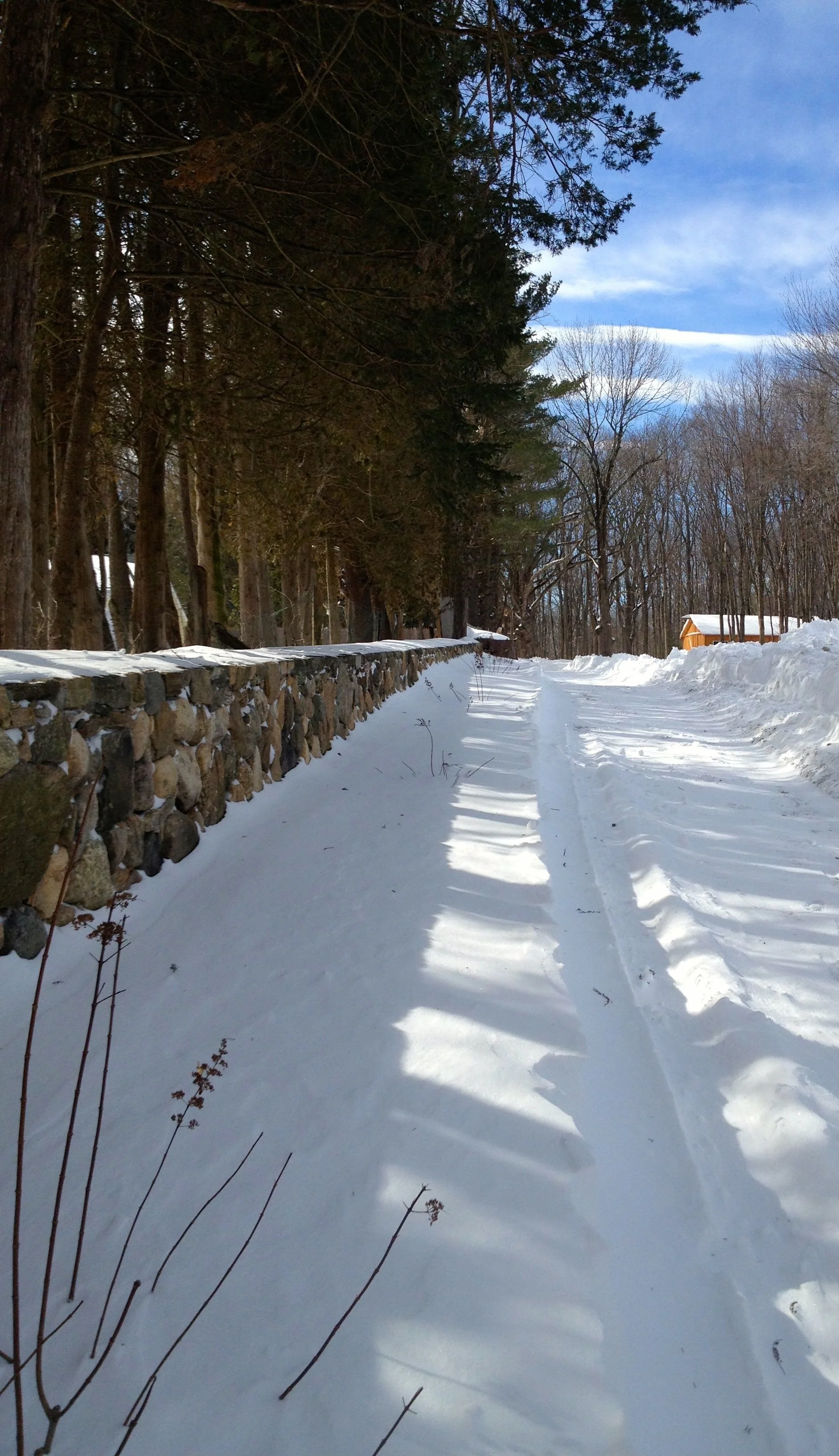 Snow Driveway.jpg