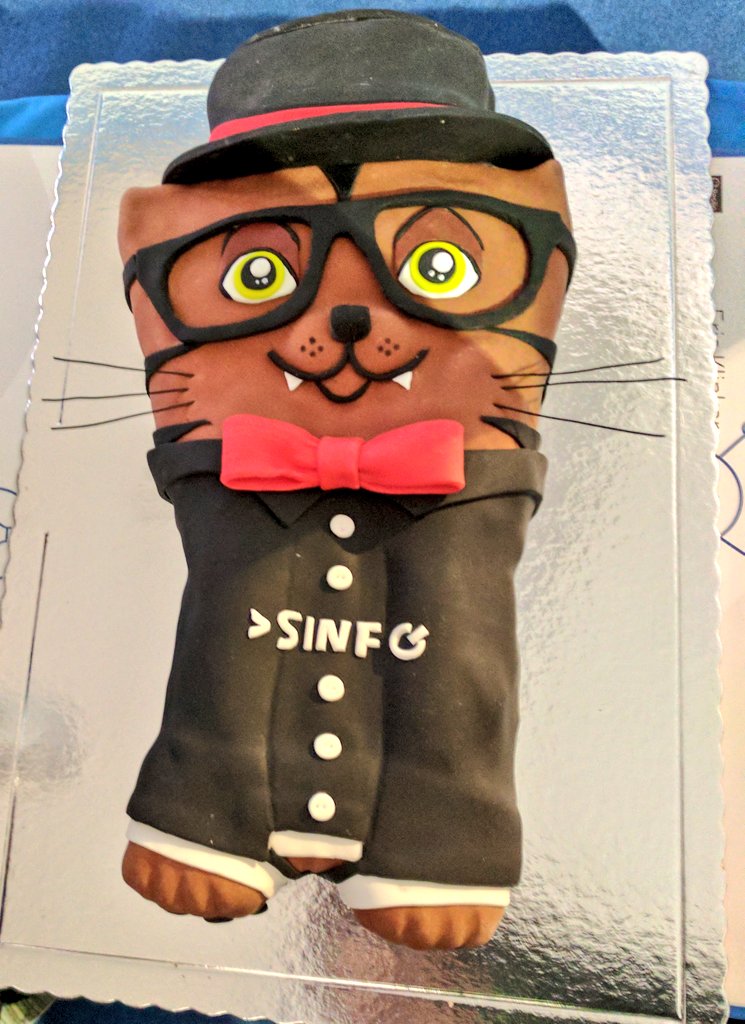  The SINFO mascot, Hacky, in delicious cake form 
