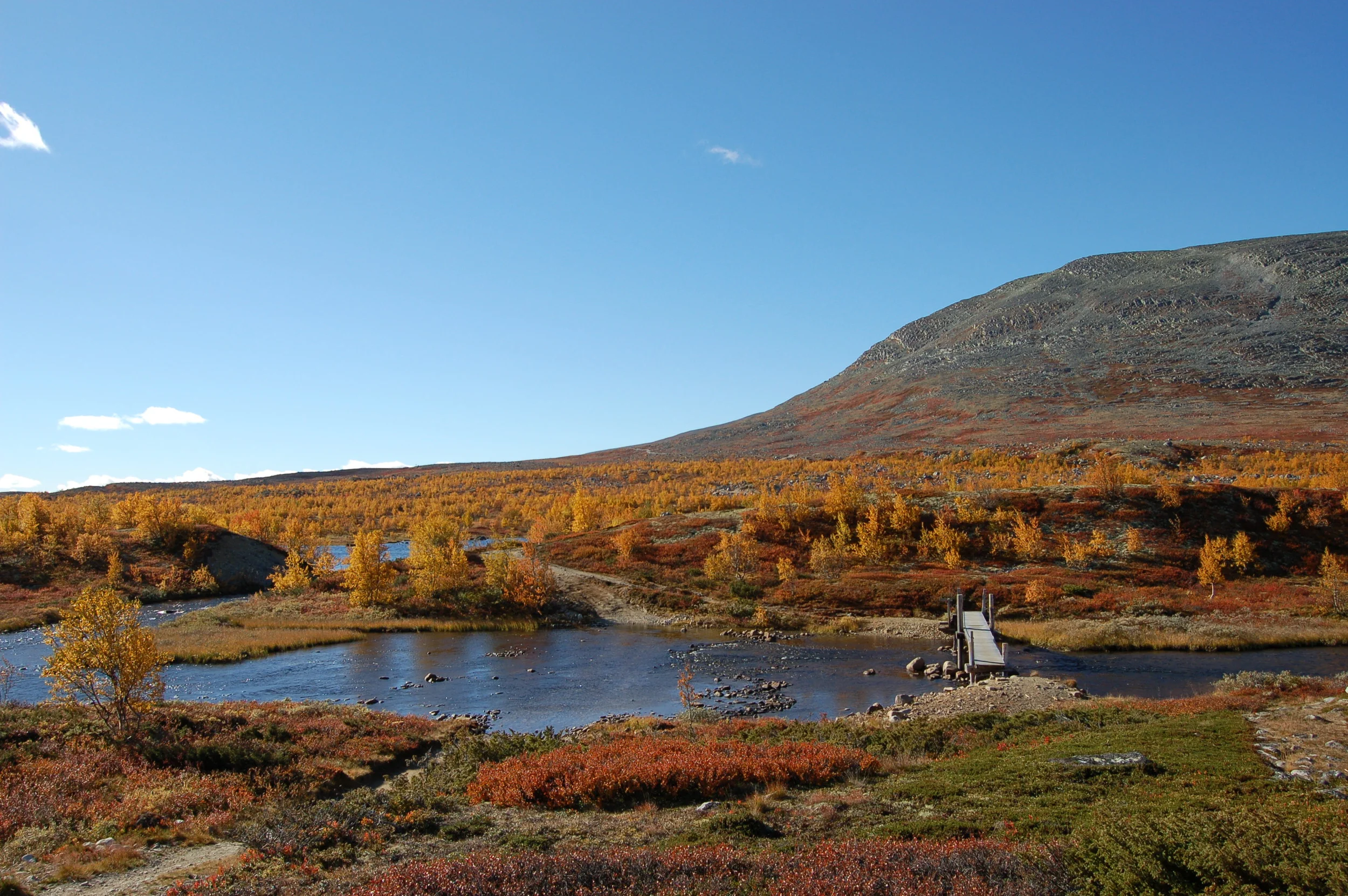 DSC_0040.JPG