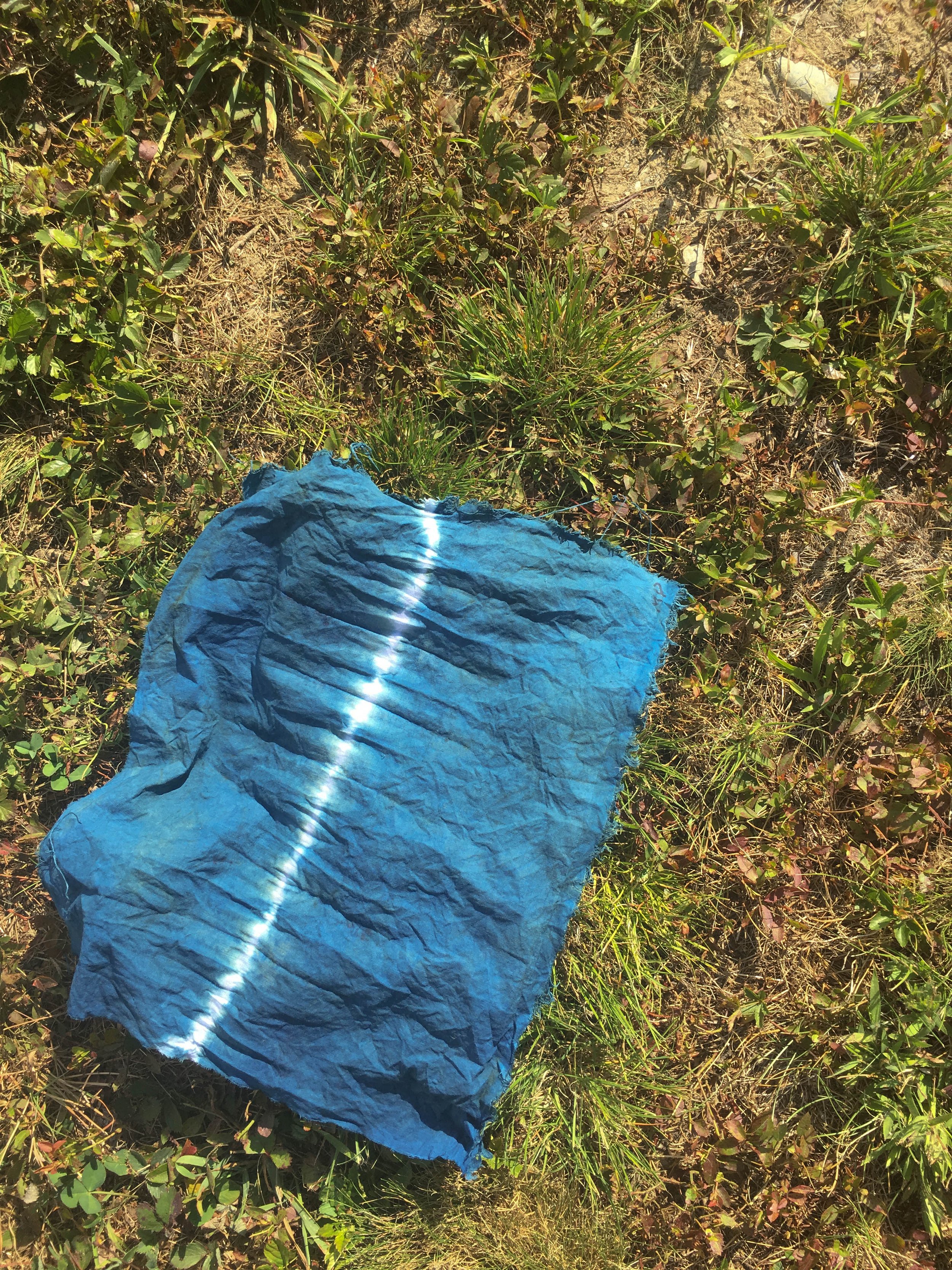 Shibori in the grass B.jpg