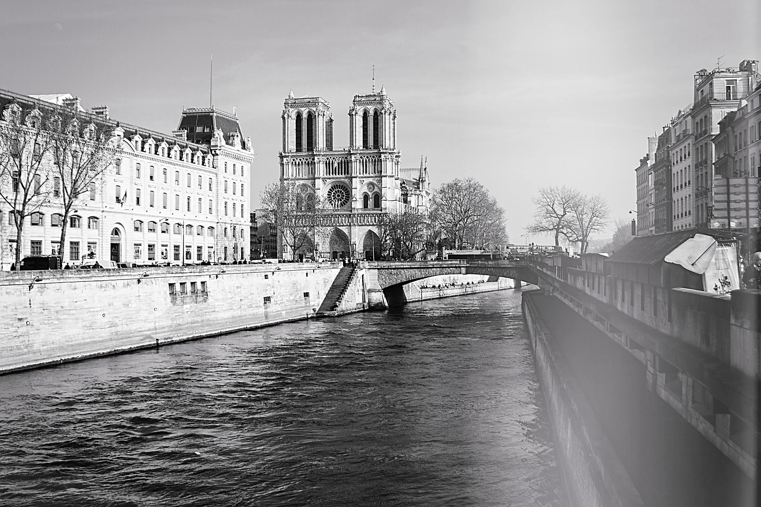 paris_notre dame_lesley ade photo_bw.jpg