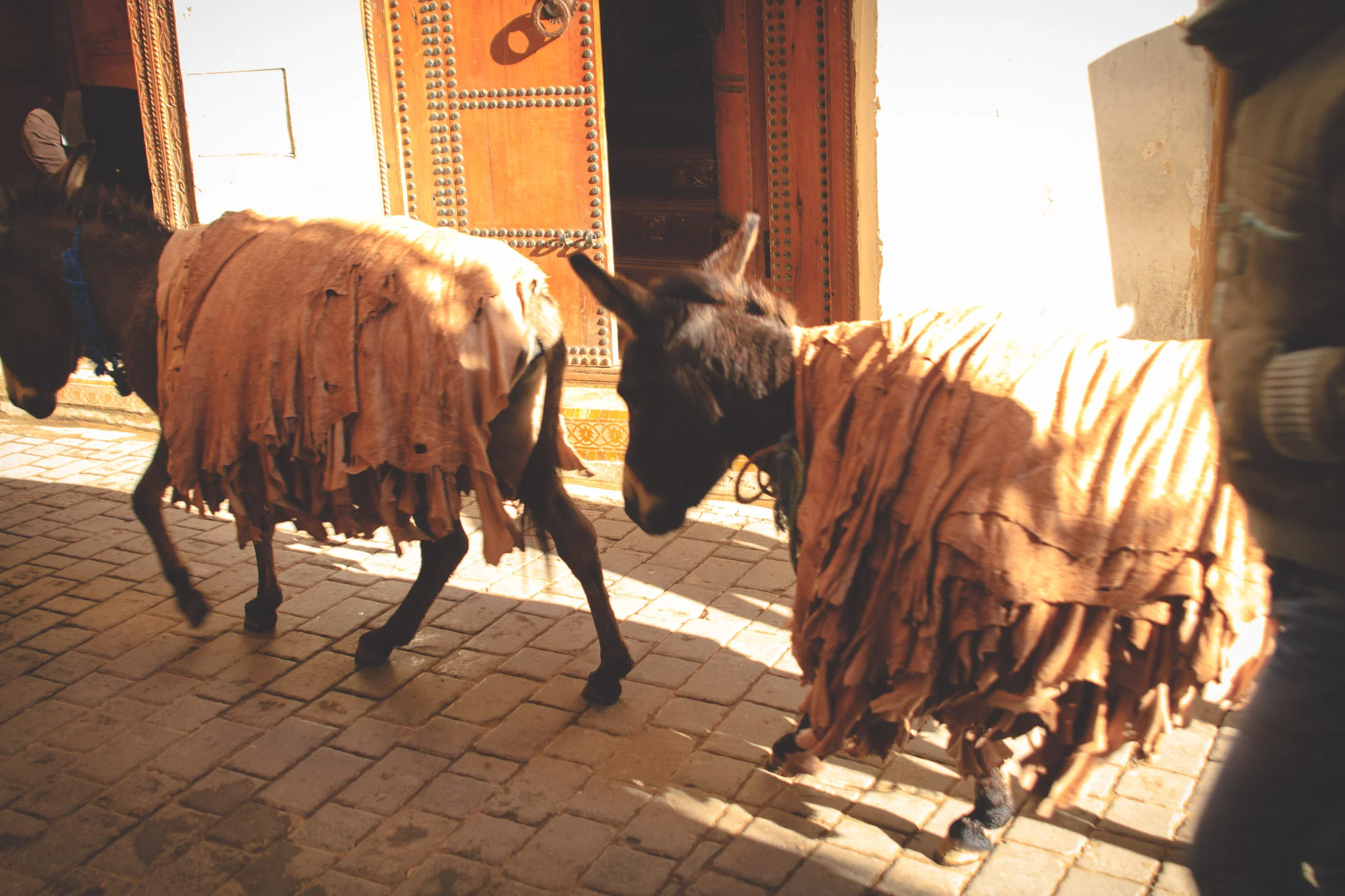 morocco_rabat_fez_casablanca_lesleyade_photography-20.jpg