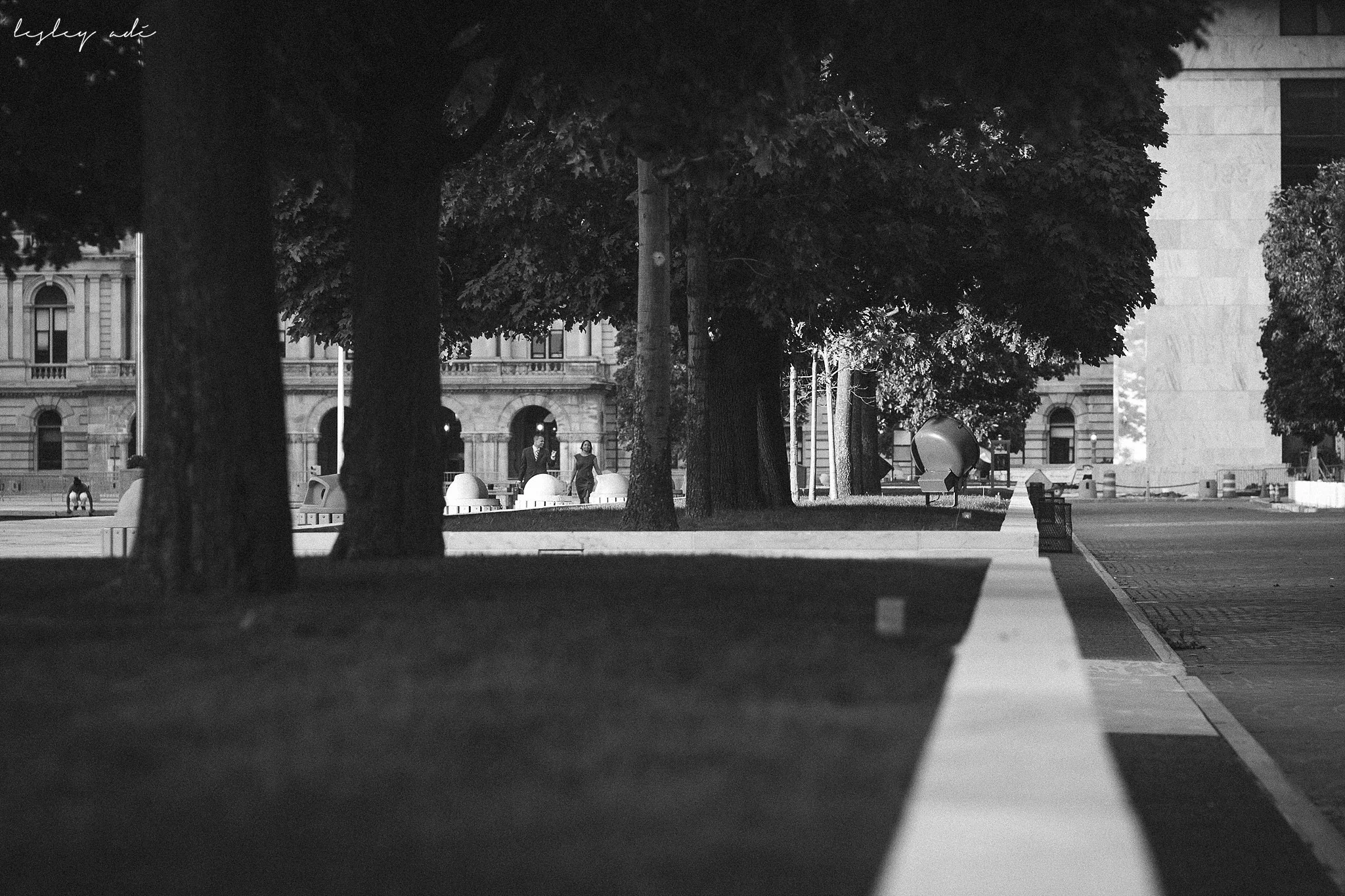 albany-proposal-engagement-new york-photographer-9.jpg