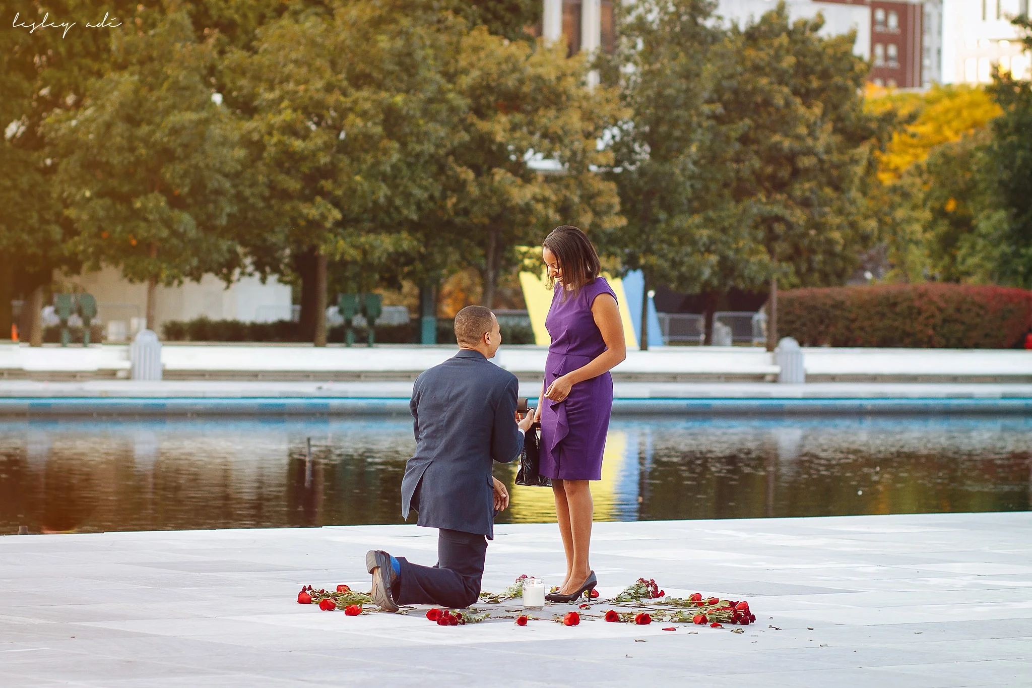 albany-proposal-engagement-new york-photographer-18.jpg