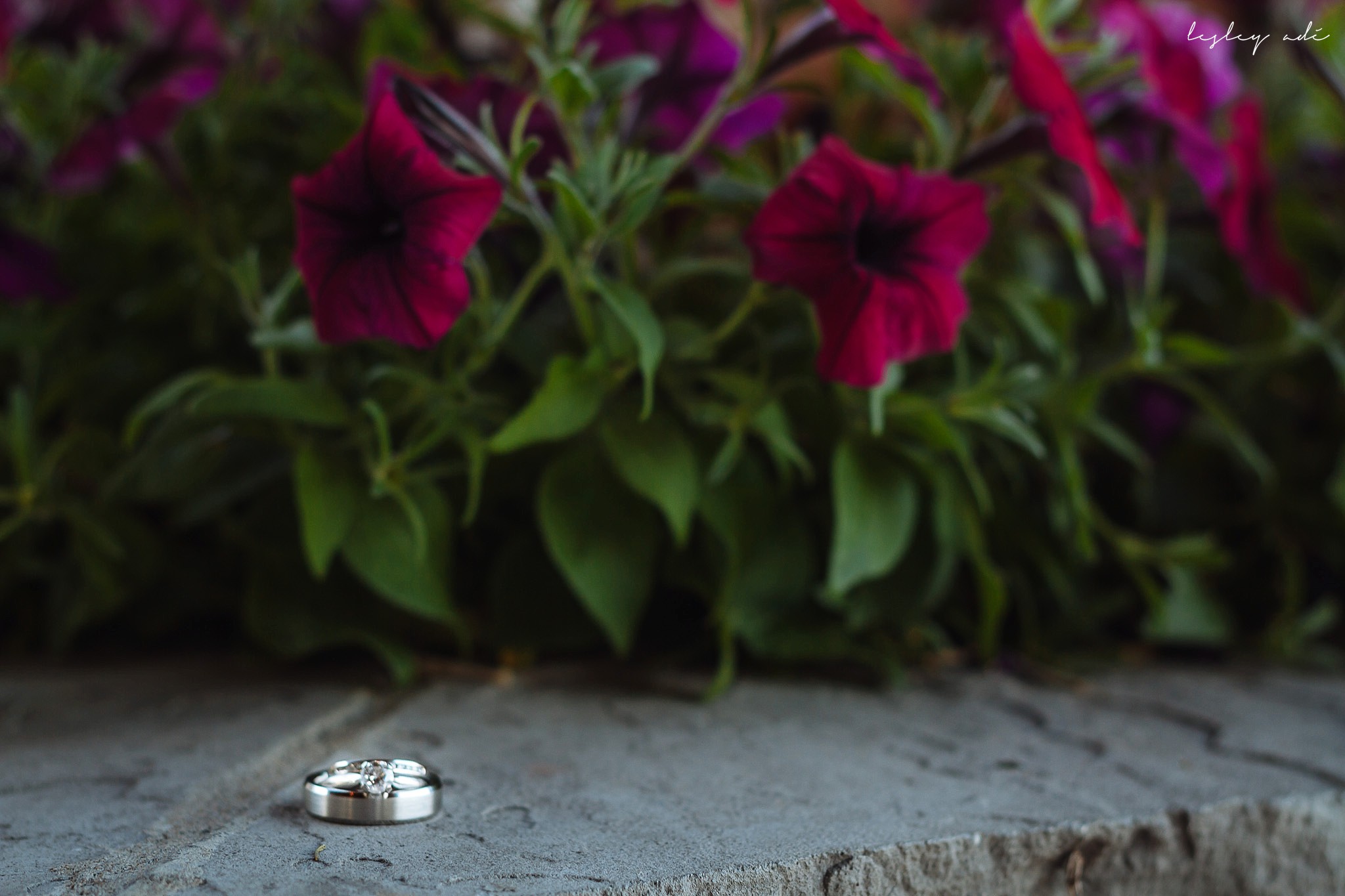 morris-lake placid-wedding-lesleyadephoto-276.jpg