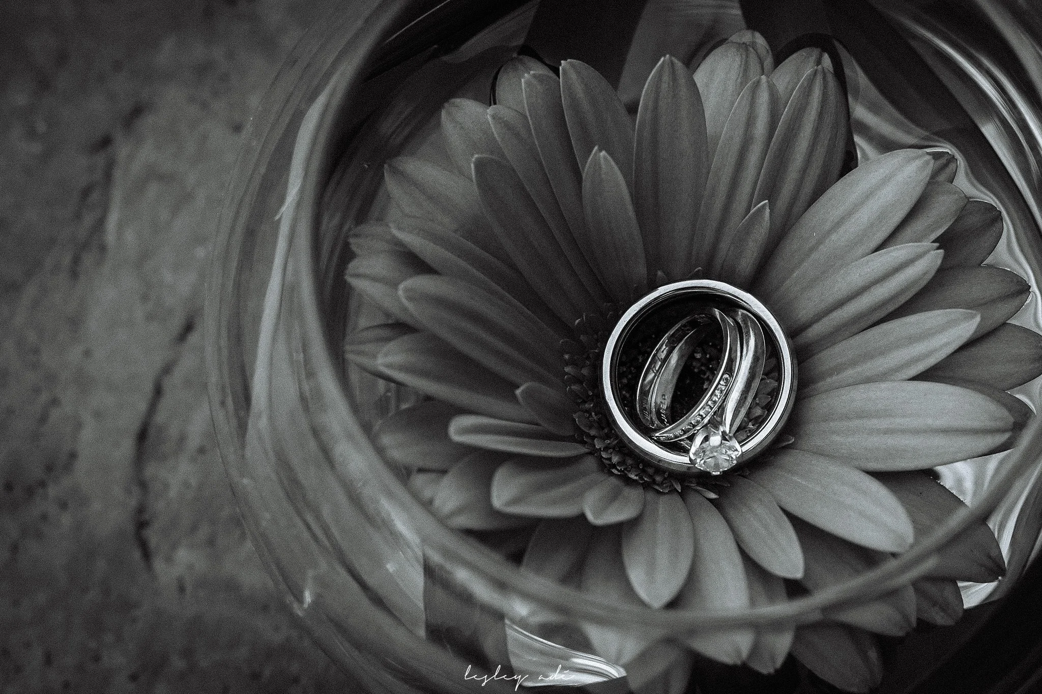 morris-lake placid-wedding-lesleyadephoto-281.jpg