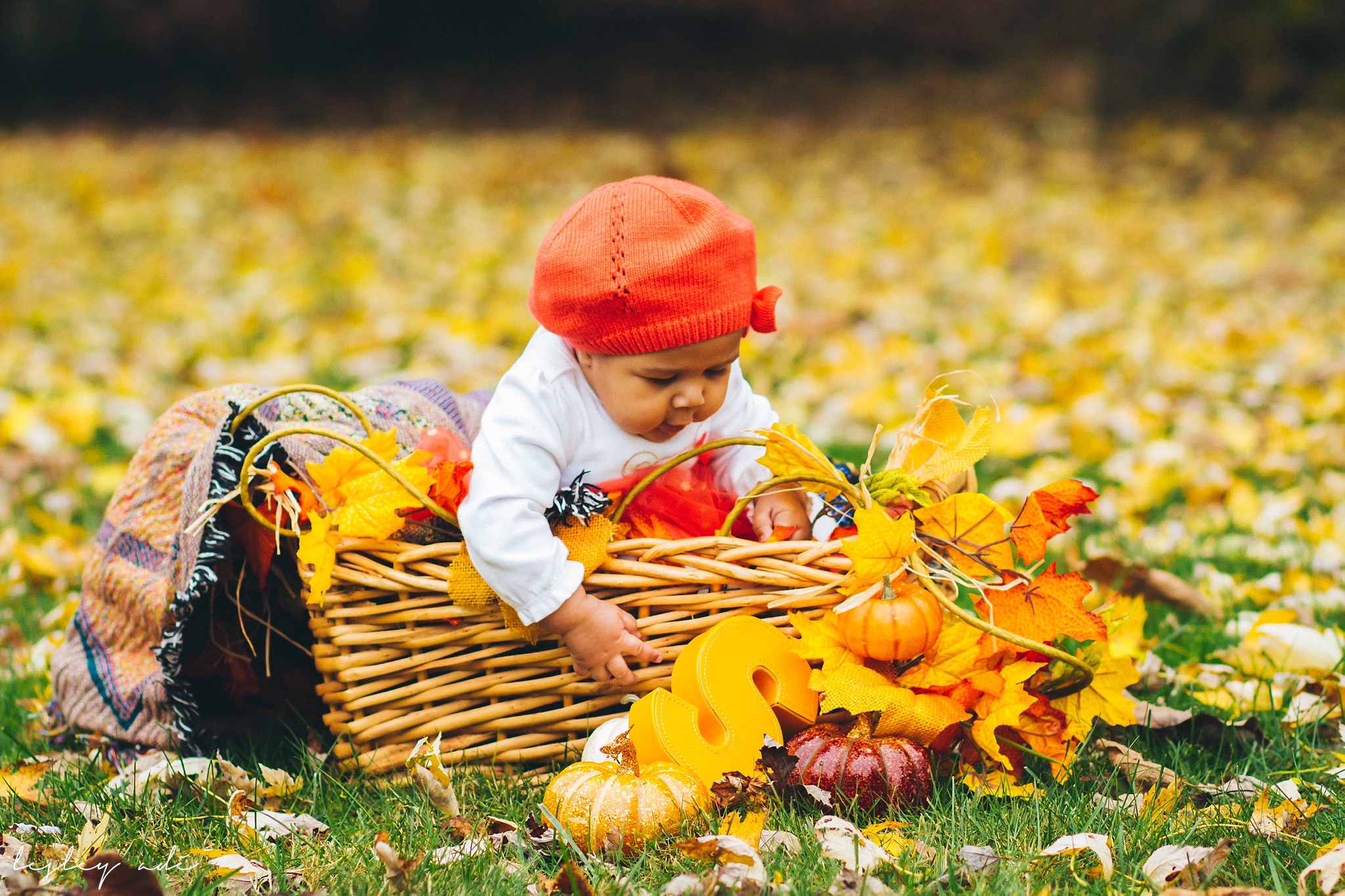 baby-portraits-albany-2.jpg