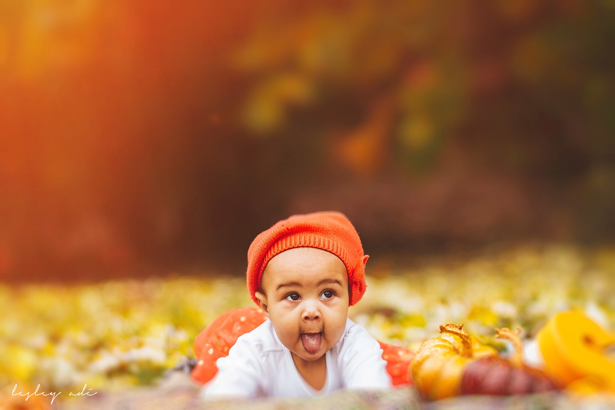 baby-portraits-albany-4 copy.jpg