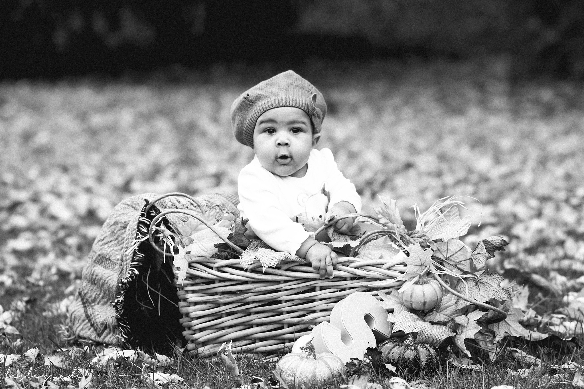 baby-portraits-albany-4.jpg