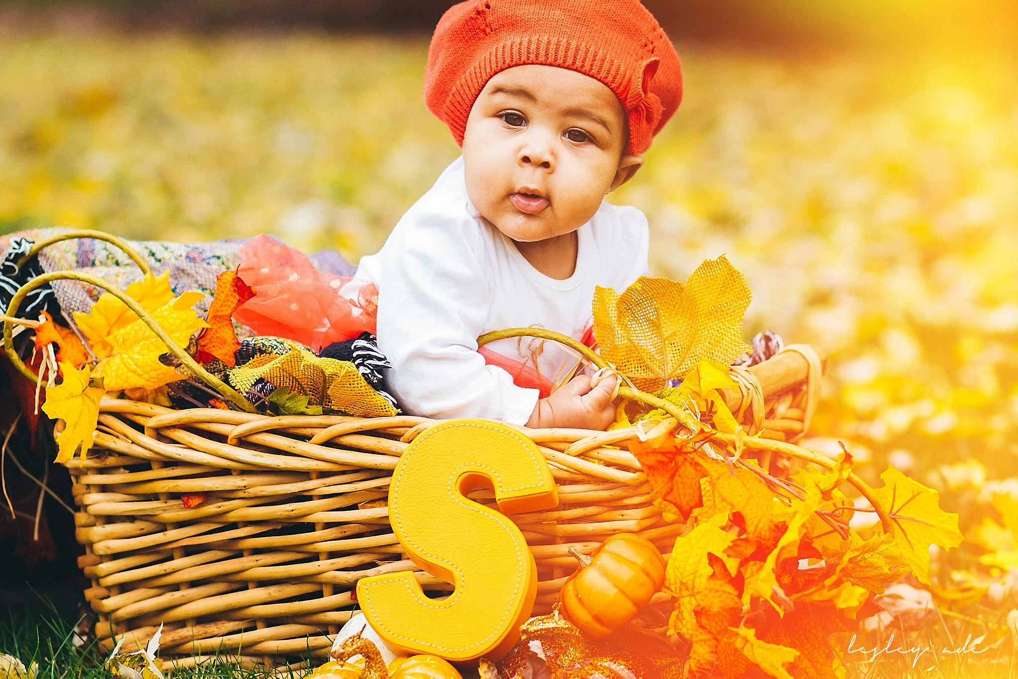 Fall Baby Portraits // [Albany Family Portrait Photographer, Menands, NY]