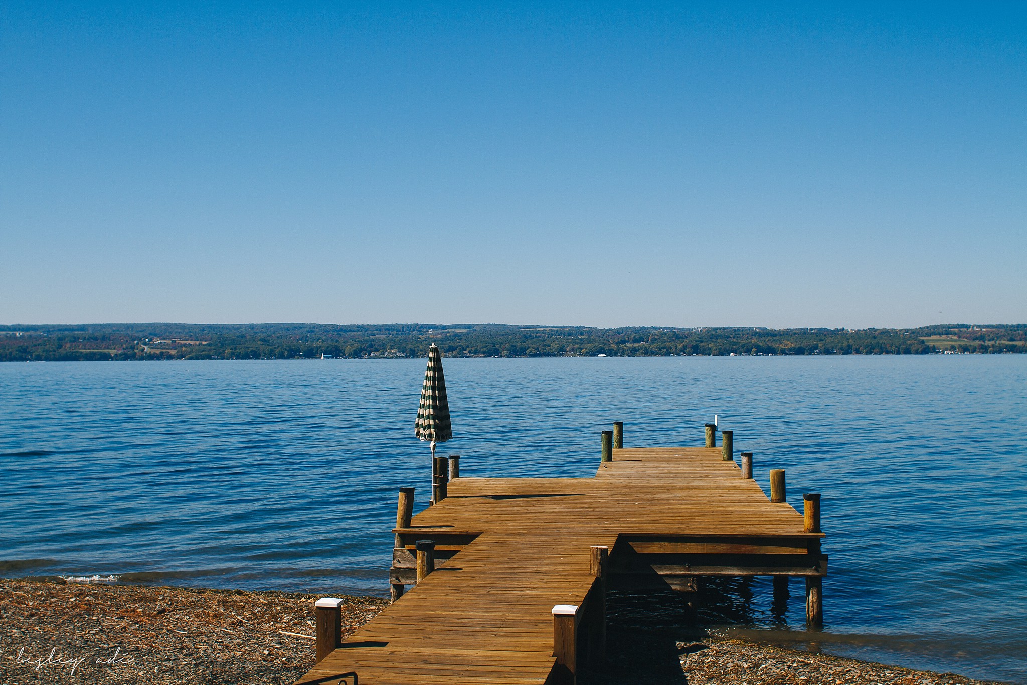 finger-lakes-fall-wedding-vineyard-1.jpg