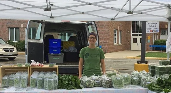 All sorts of leafy greens, from Swiss Chard, Spinach, Kale, Cilantro, and the lovely Asian Greens Salad Mix.