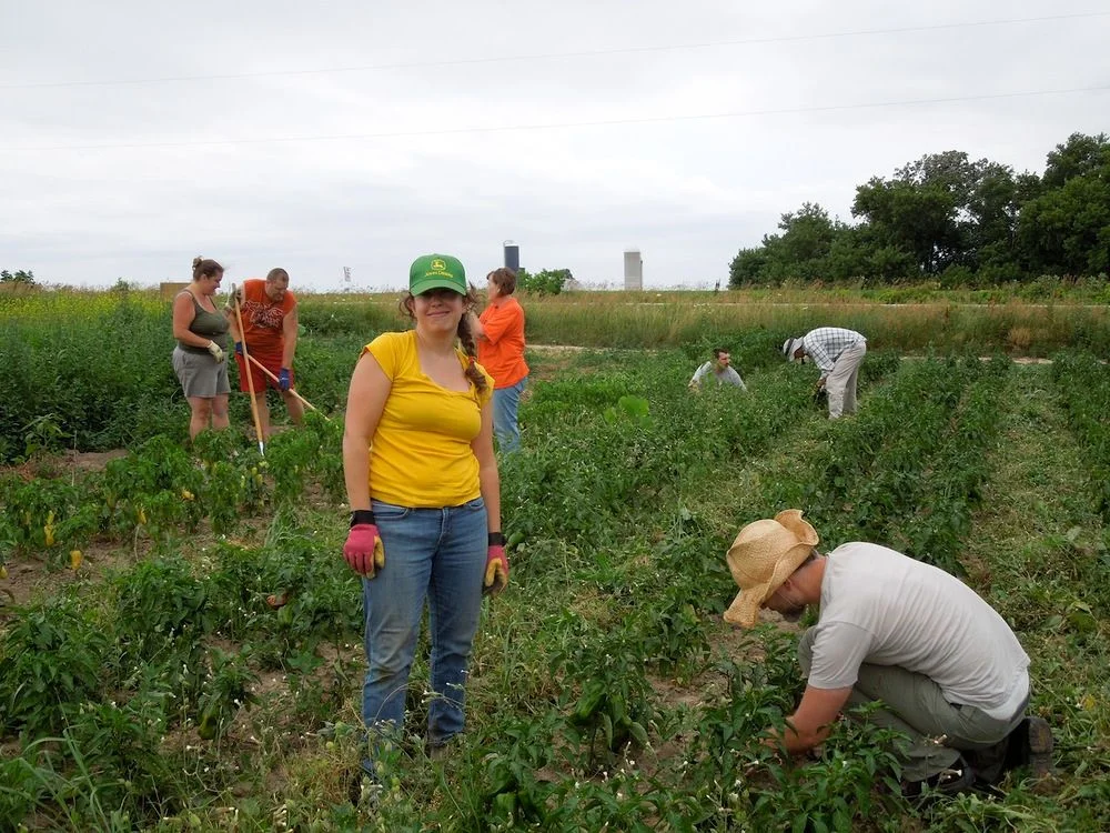 Weeders caught in action...
