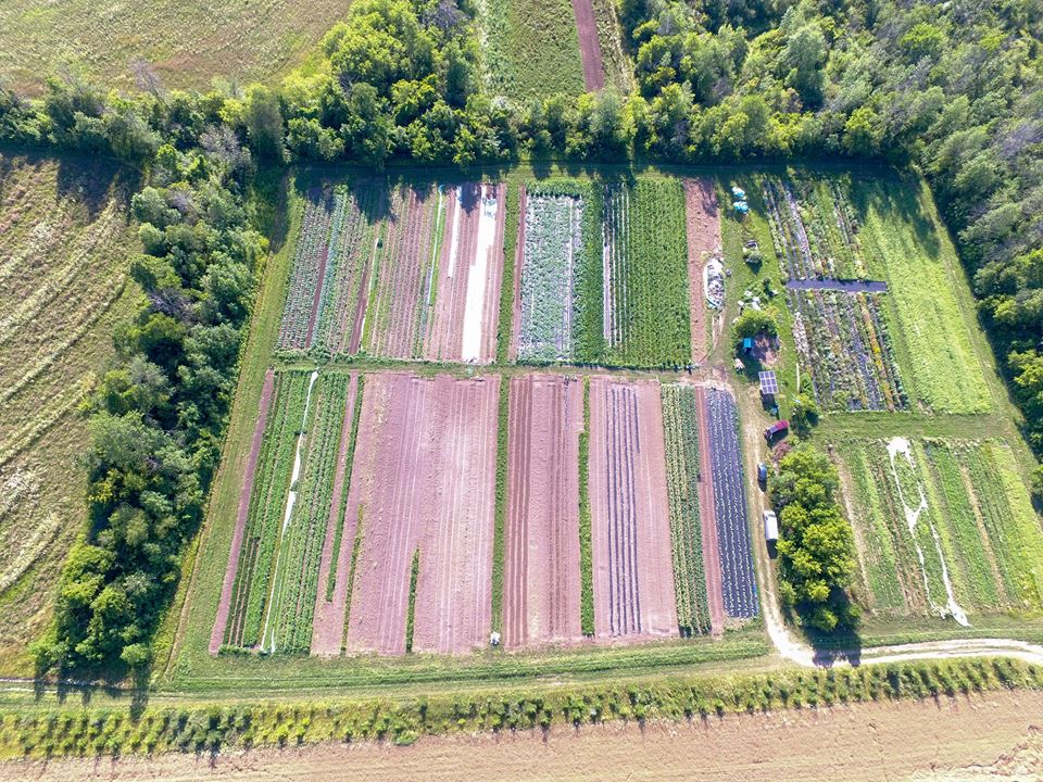 This patchwork quilt is our vegetable field!