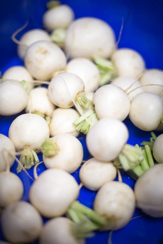 Make sure to get some salad turnips this week! We might have like a million!