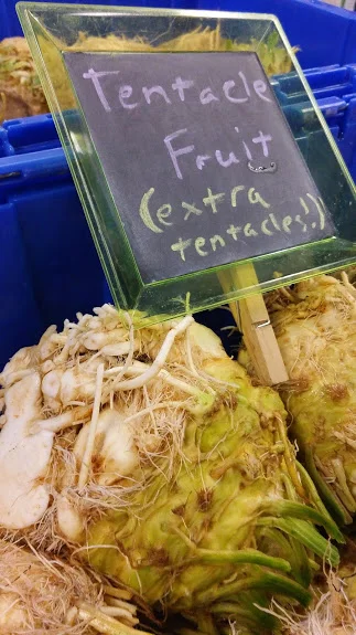 OK! Celery Root might LOOK like it should be named Tentacle Fruit, but it's actually REALLY TASTY! Give it a try as soup or mash!