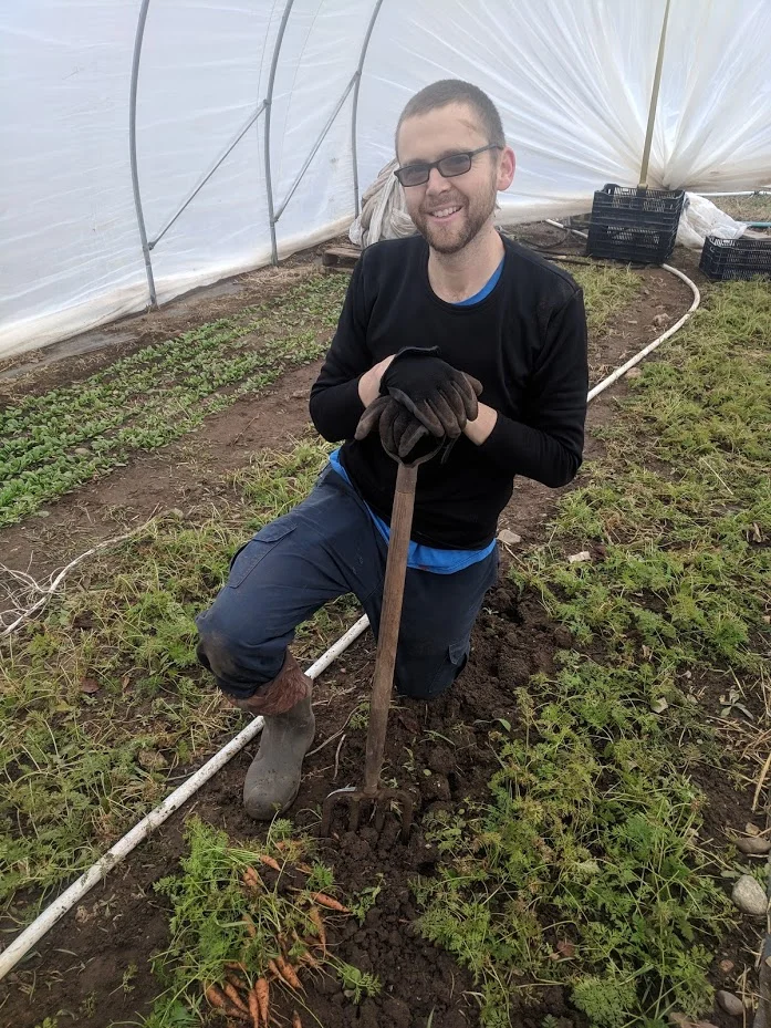 harvest carrots.jpg