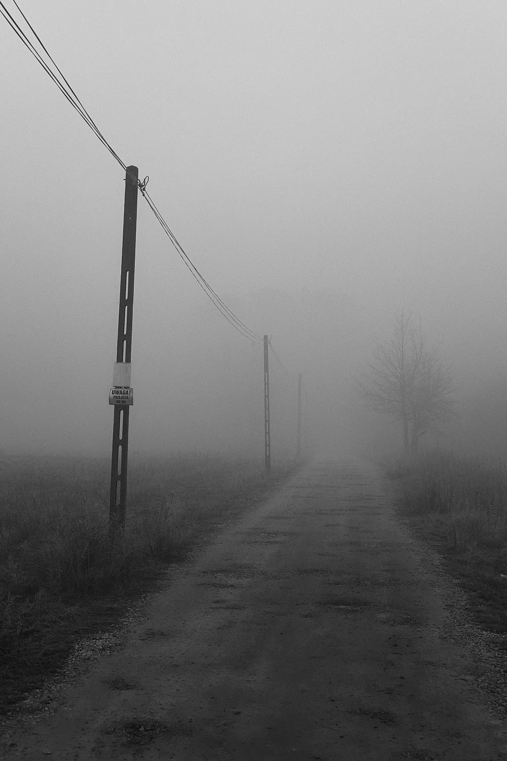 codziennik-03-271115.jpg