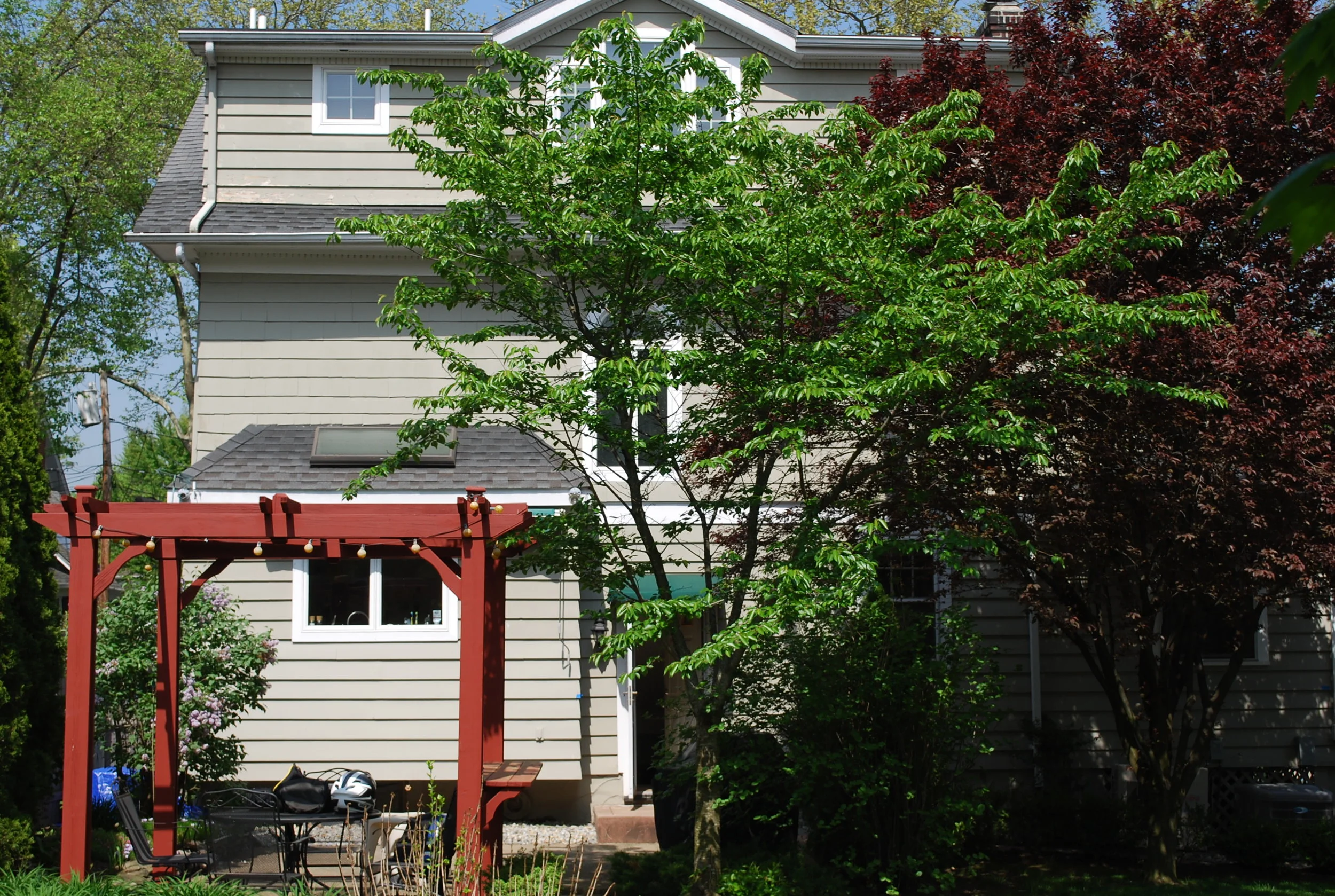DSC_1151.jpg