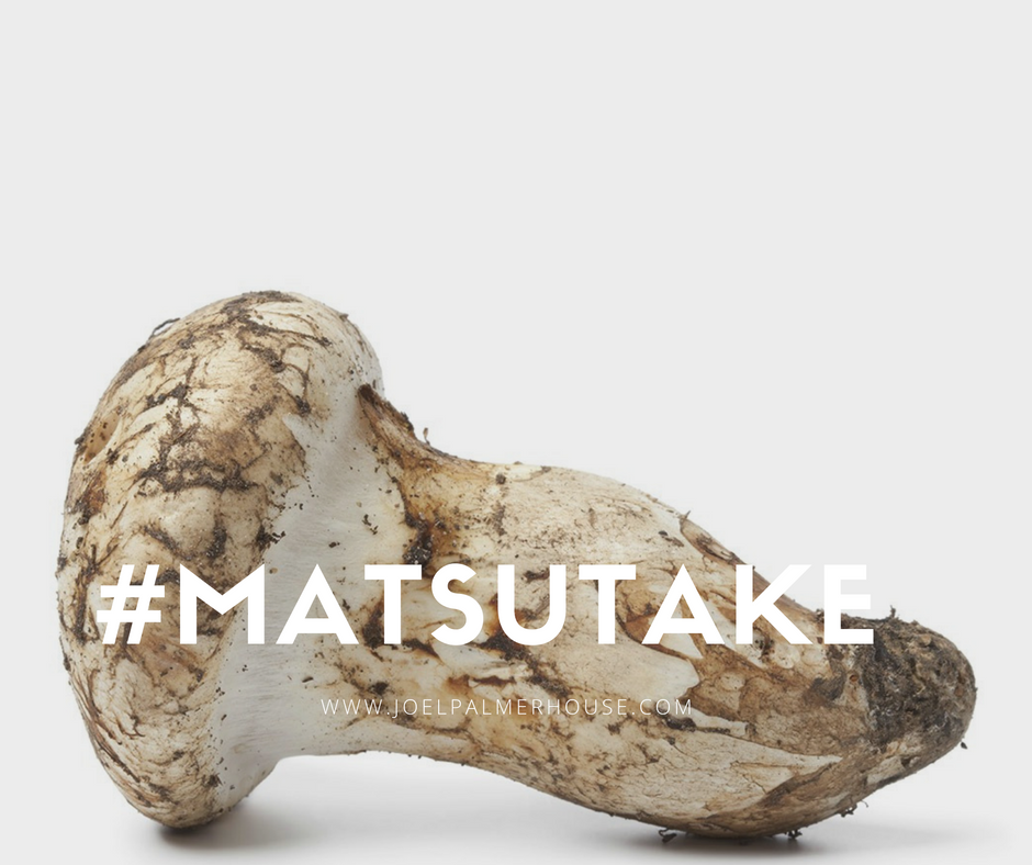 A dirty, unwashed Matsutake mushroom lying on a white background with the hashtag #MATSUTAKE and website URL.