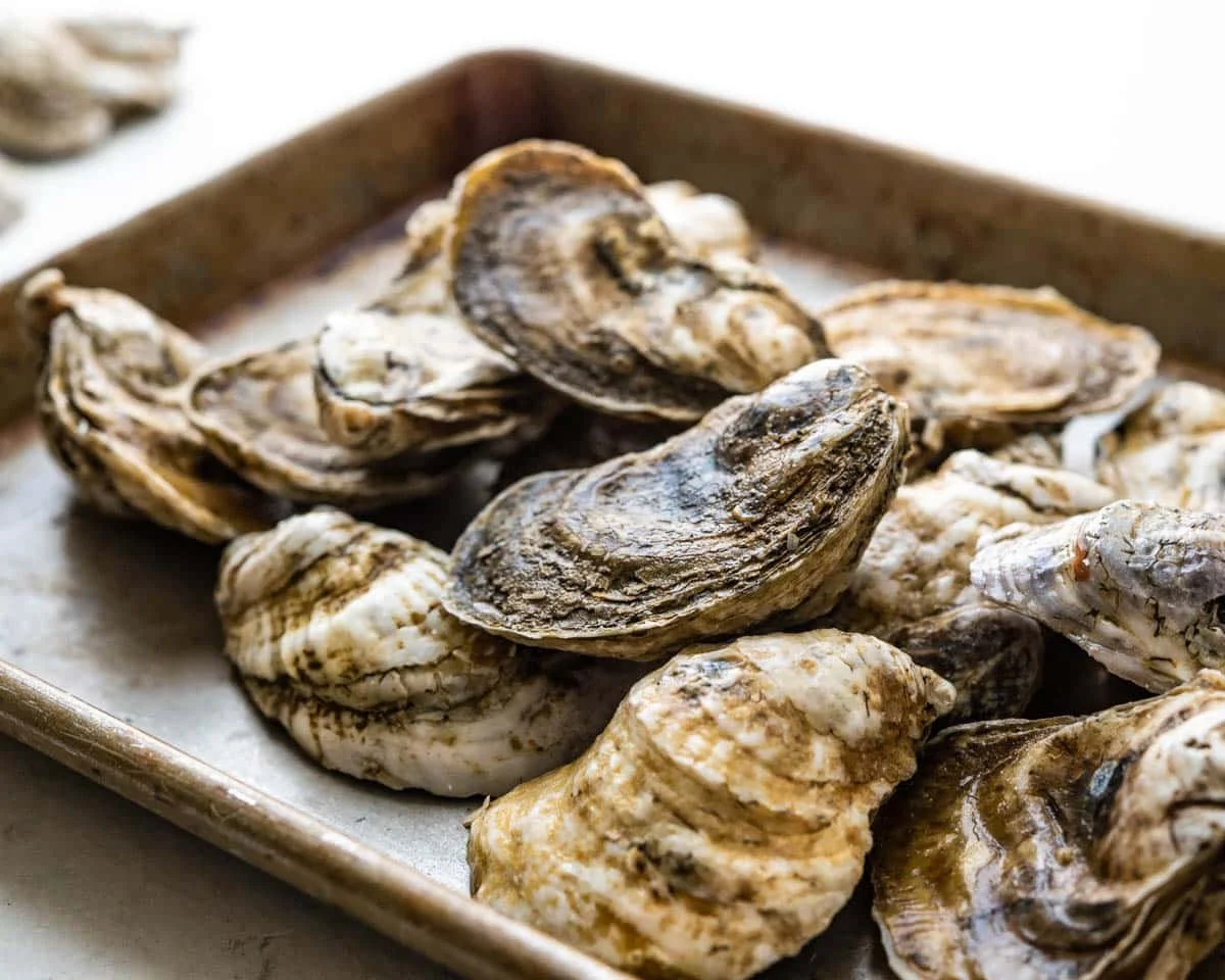 2026-03-21 15.01.58.jpg