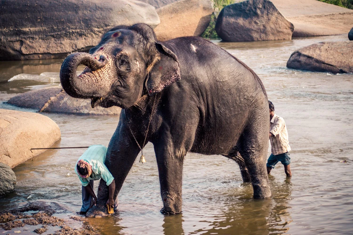 India_Selected_edited-34.jpg