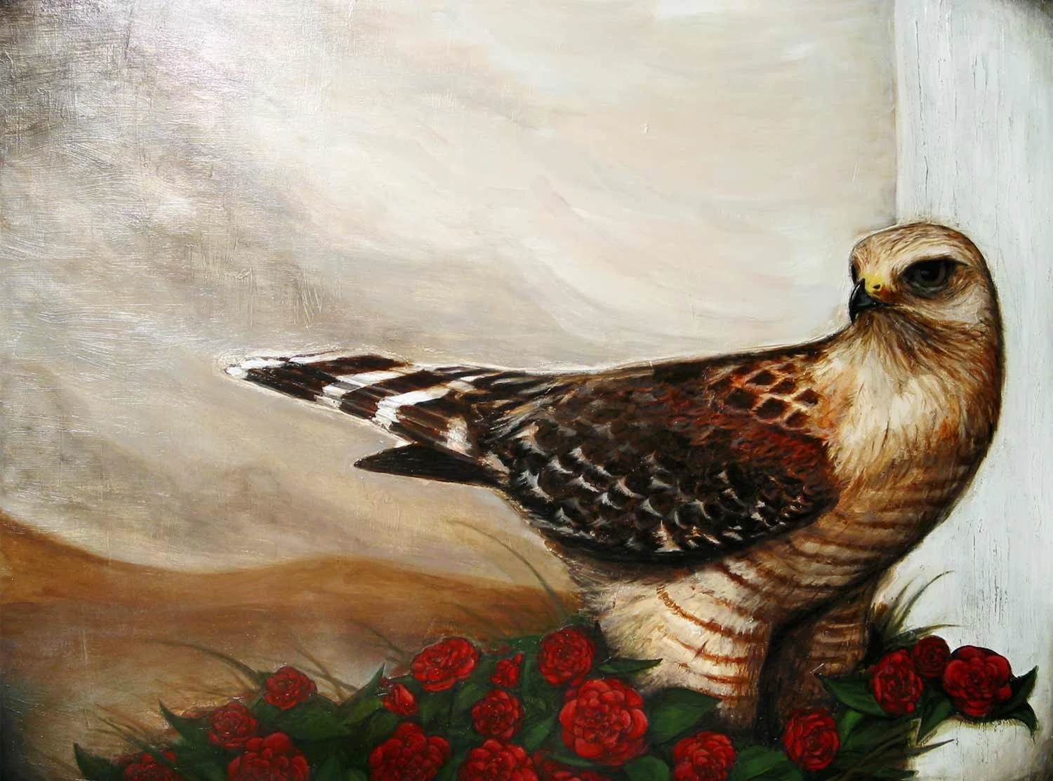 redshouldered.jpg