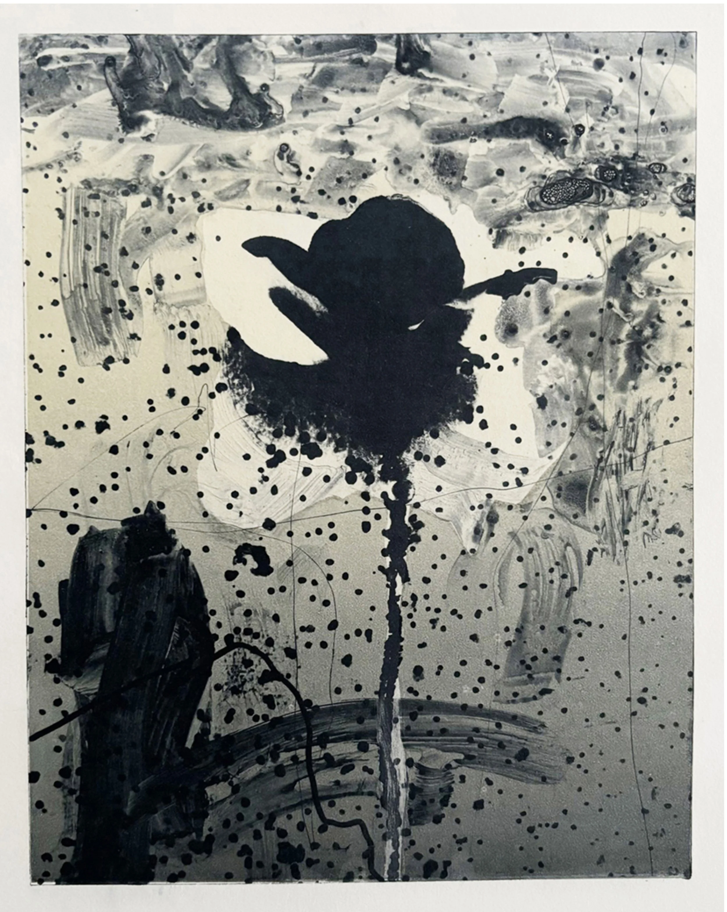 Jeffrey Sippel