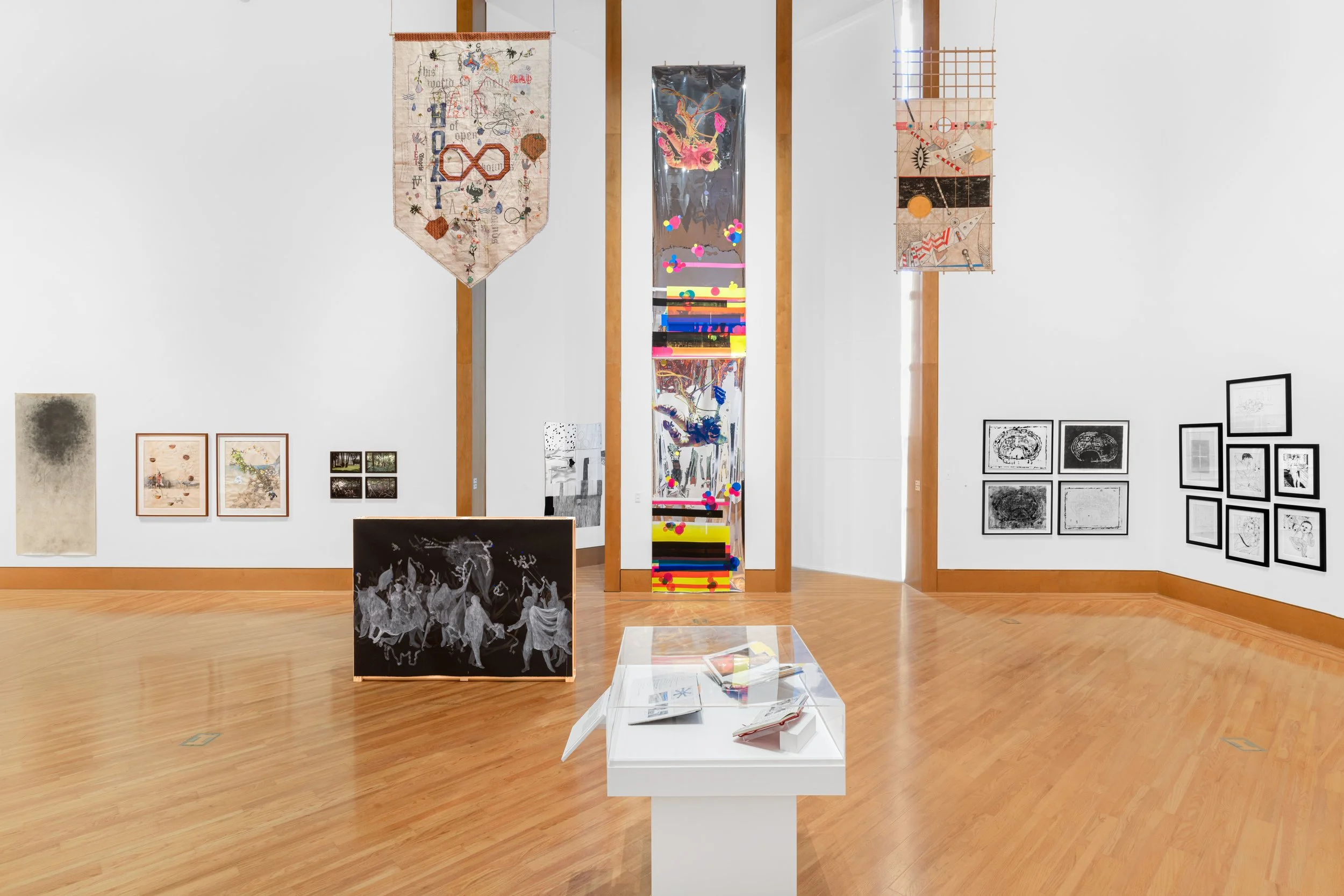 INSTALLATION VIEWS