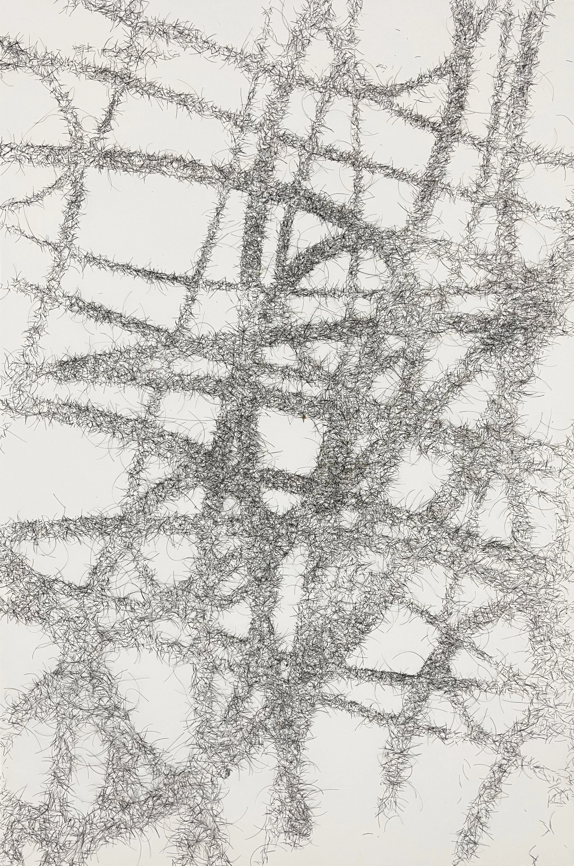 Untitled 6.jpg