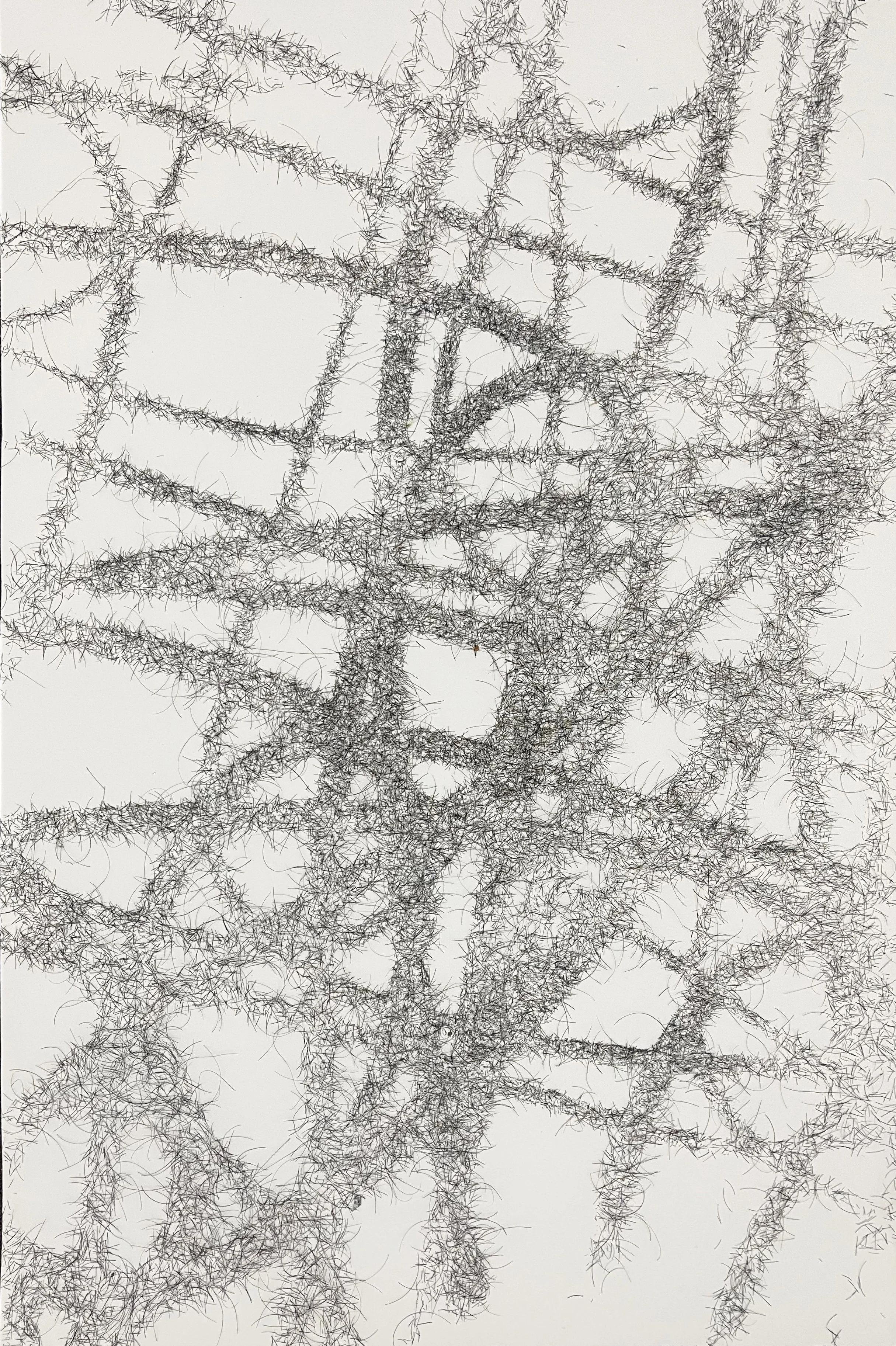 Untitled 7.jpg