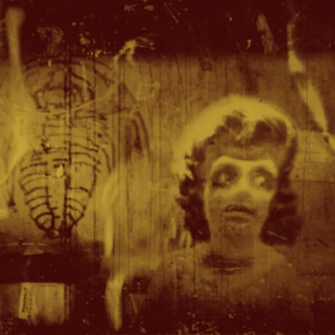 005 The Screen Test 2021.jpg