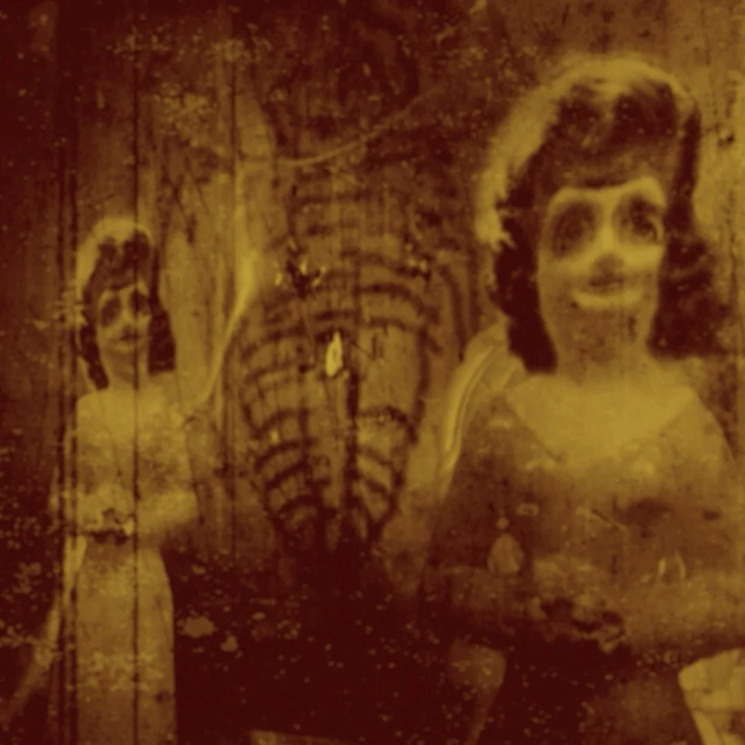 006 The Screen Test 2021.jpg
