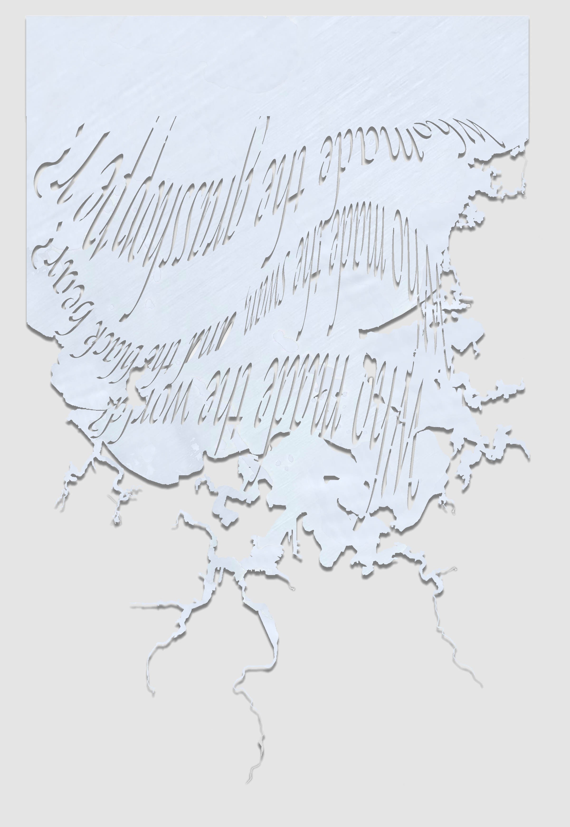 MuddyWaterFin.jpg