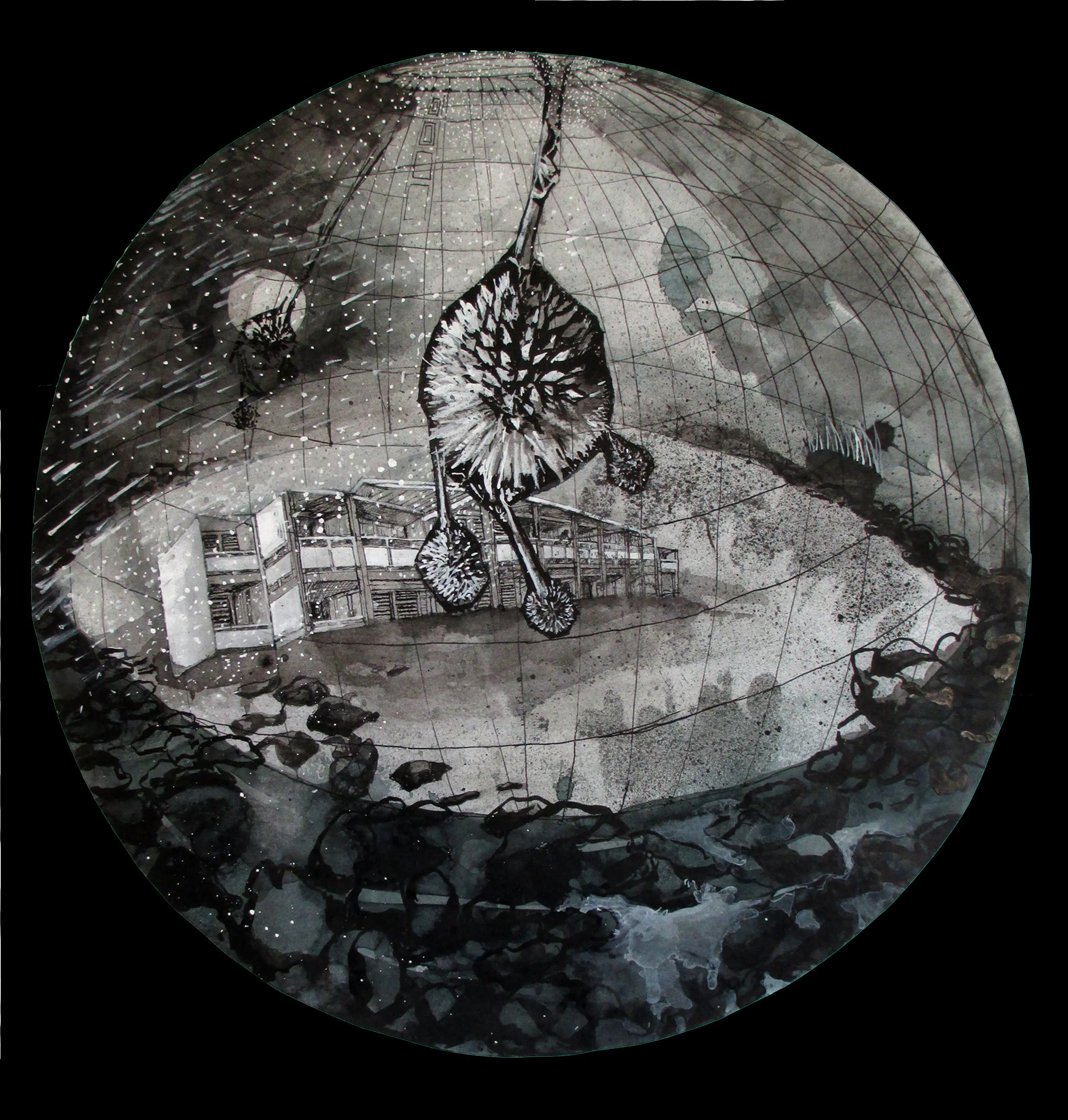 Glope Napili black ground.jpg