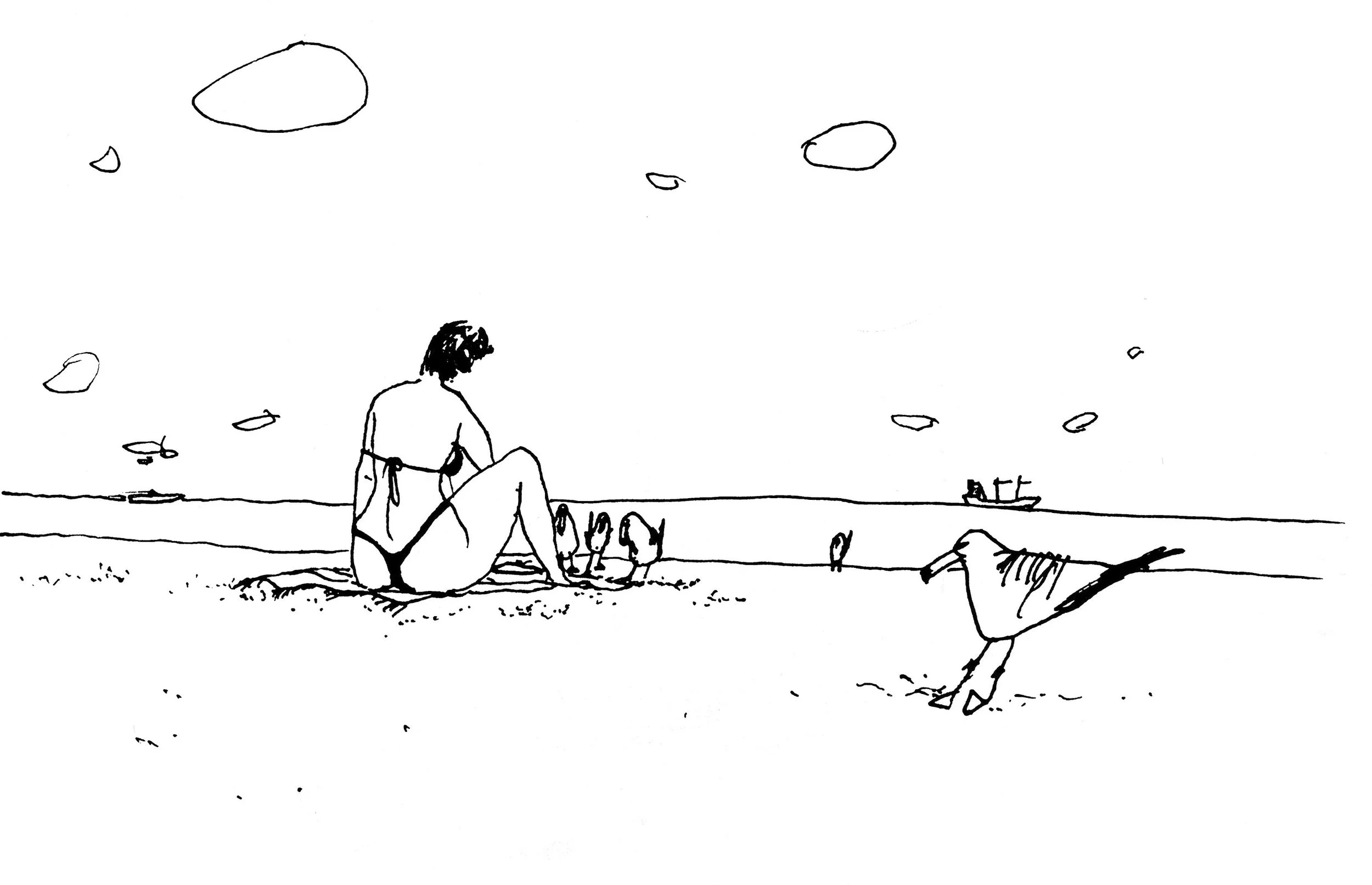 Nemanja Radusinovic, 2012, video, Social Crossroads 2.jpg