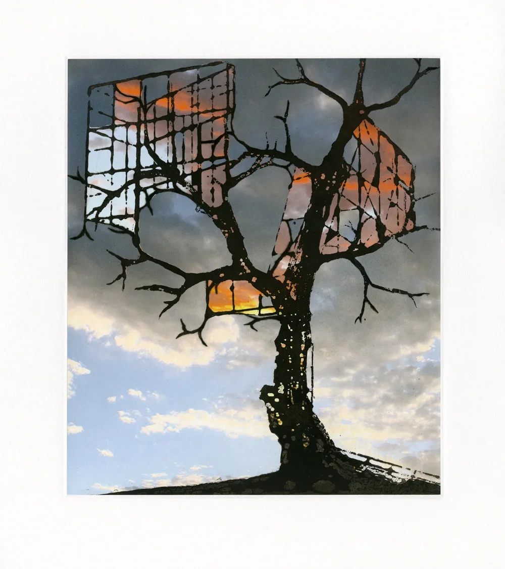 nlopez-blueskiesandsunsets-02-web.png.webp